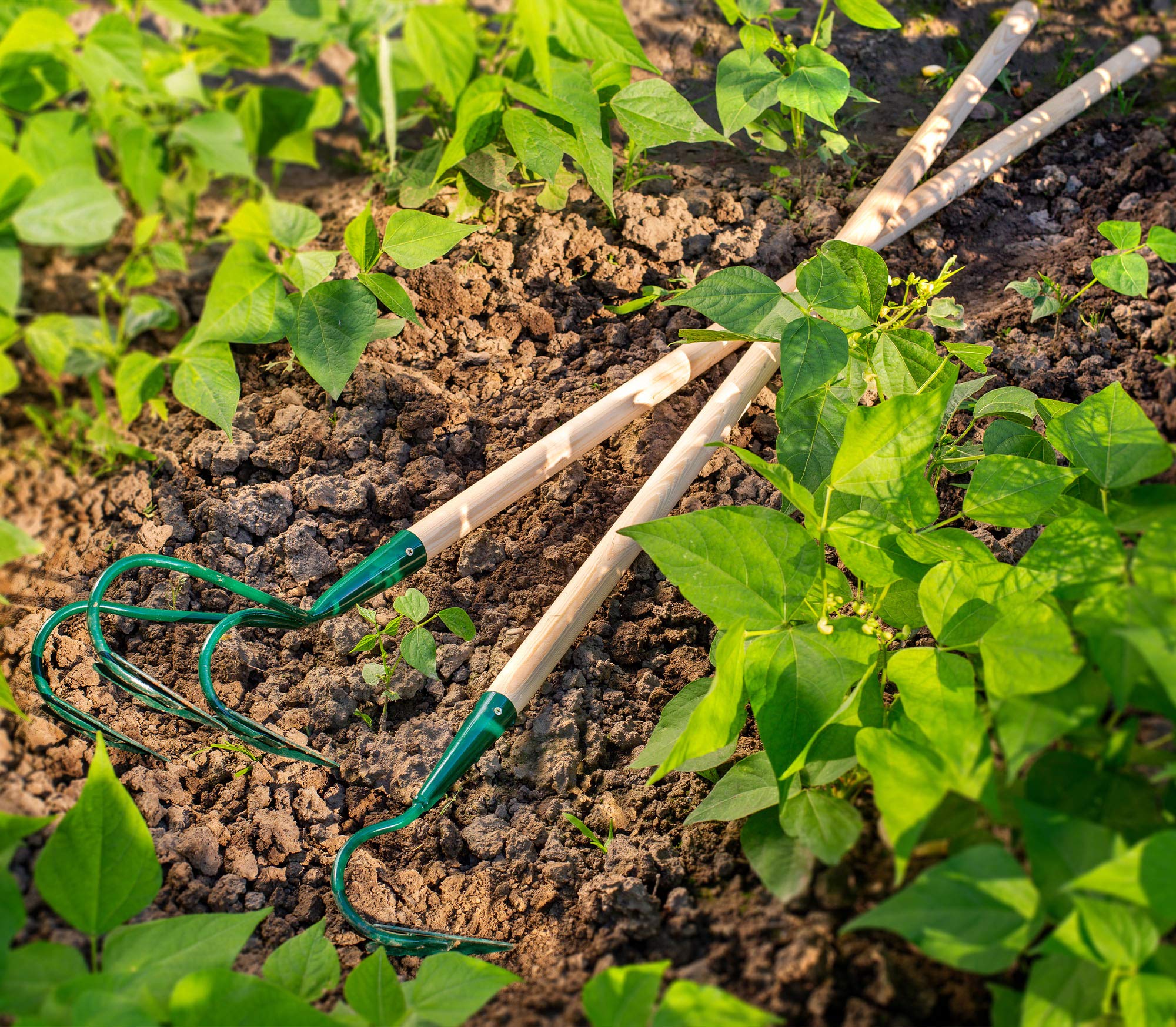 KADAX Cultivateur à main en métal Aérateur de sol - Râteau à fleurs - Accessoire de jardin