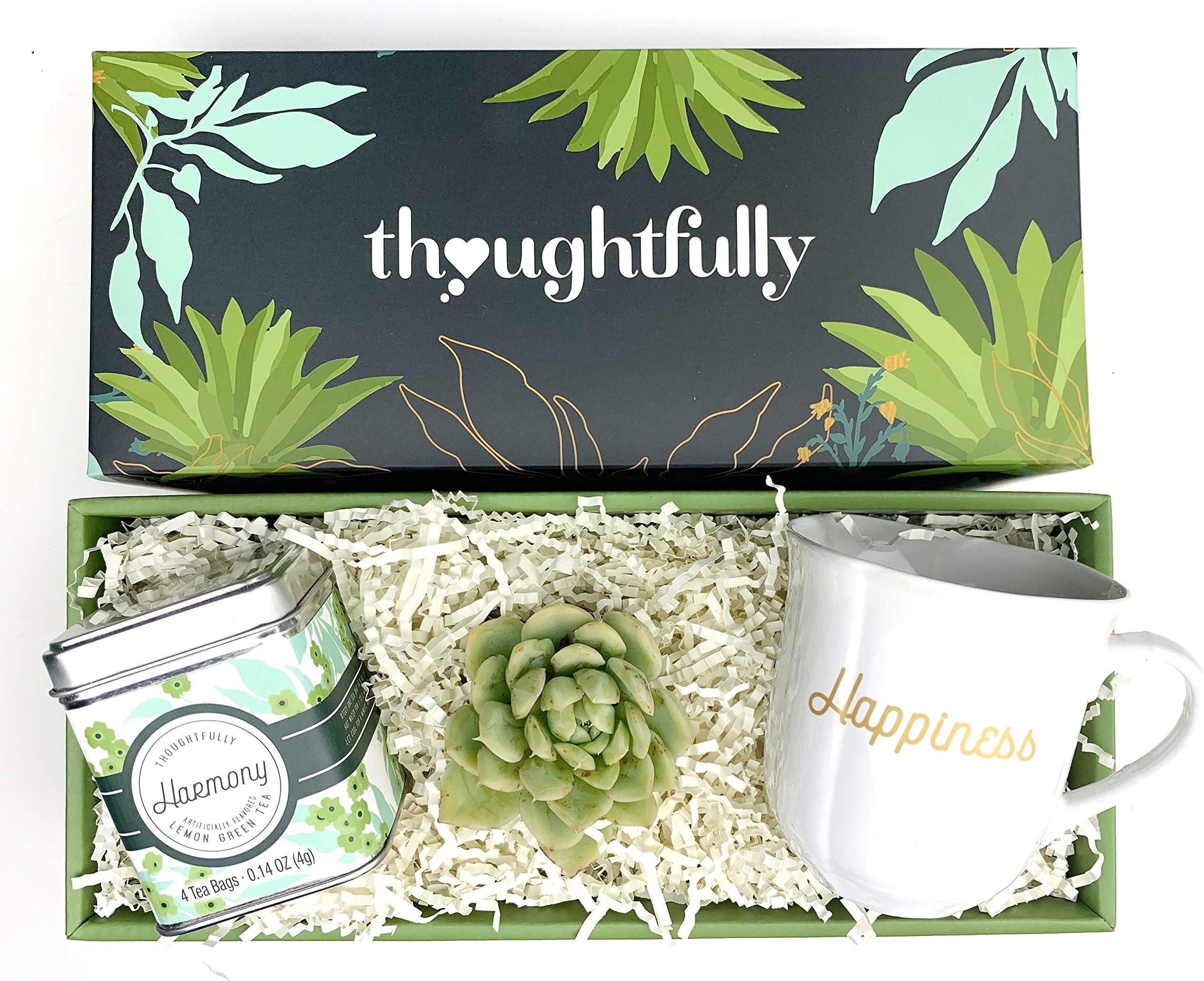 Thoughtfully Gifts, Tea and Mug Live Succulent Gift Set