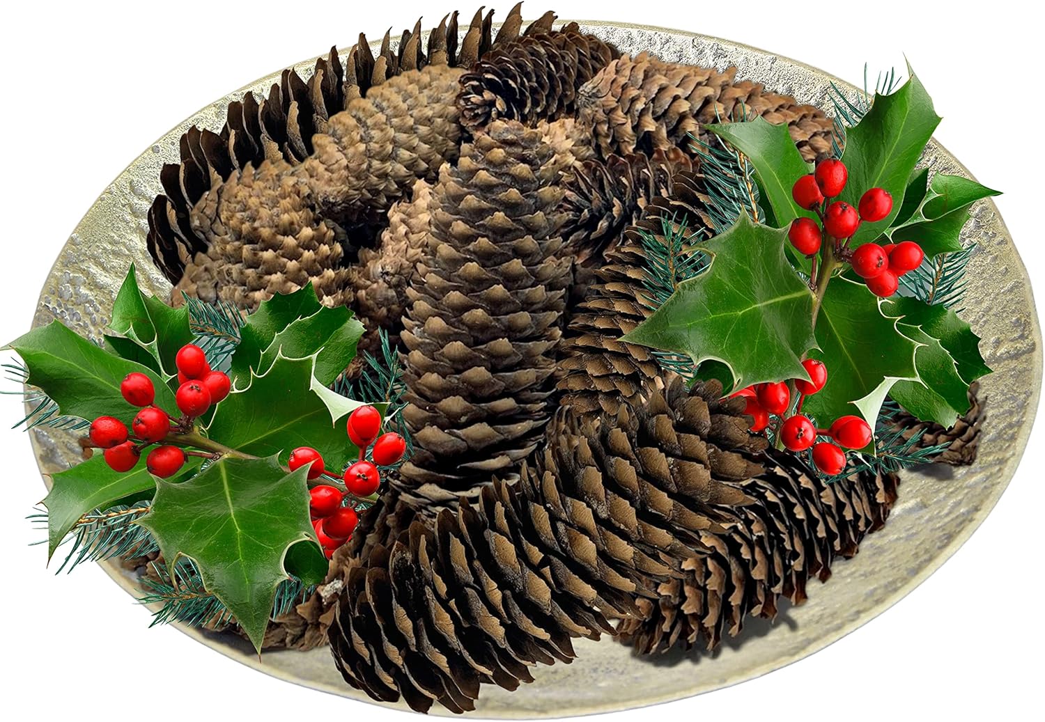 BANBERRY DESIGNS Natural Brown Spruce Pinecones - Set of 36 - Decorating Accessories - Crafting - DIY - Fall Thanksgiving Christmas Decorations 5" to 6" L