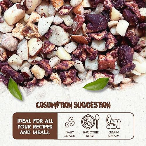 Vista 29 de Snack The True Organic Brasil Nuts 15 oz – Crudos y sin sal – Kosher – Saludables ricos en proteína vegetal – Cosechados en la selva amazónica