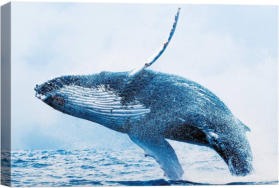 Amazon.co.jp: SIGNWIN キャンバスウォールアート 青い海で泳ぐ