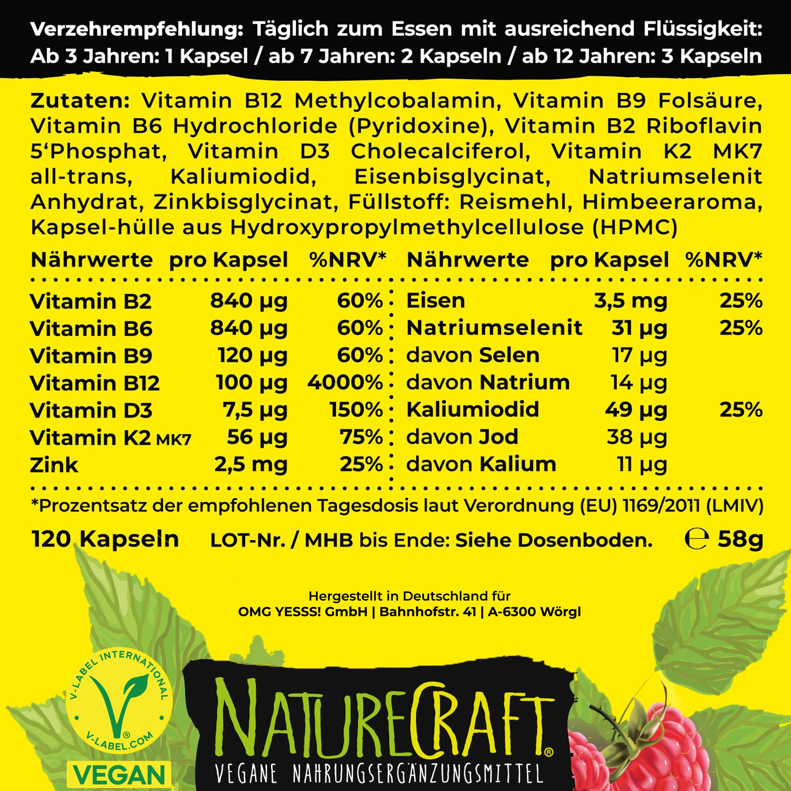 Vegan Kids All-in-One - Vitamin B12+D3+K2+B2+B6+B9 Folsäure + Zink + Eisen + Selen + Natrium + Kalium + Jod - Komplex für Kinder mit 120 Kapseln (max. 4 Monats-Vorrat)… (Packung mit 2)