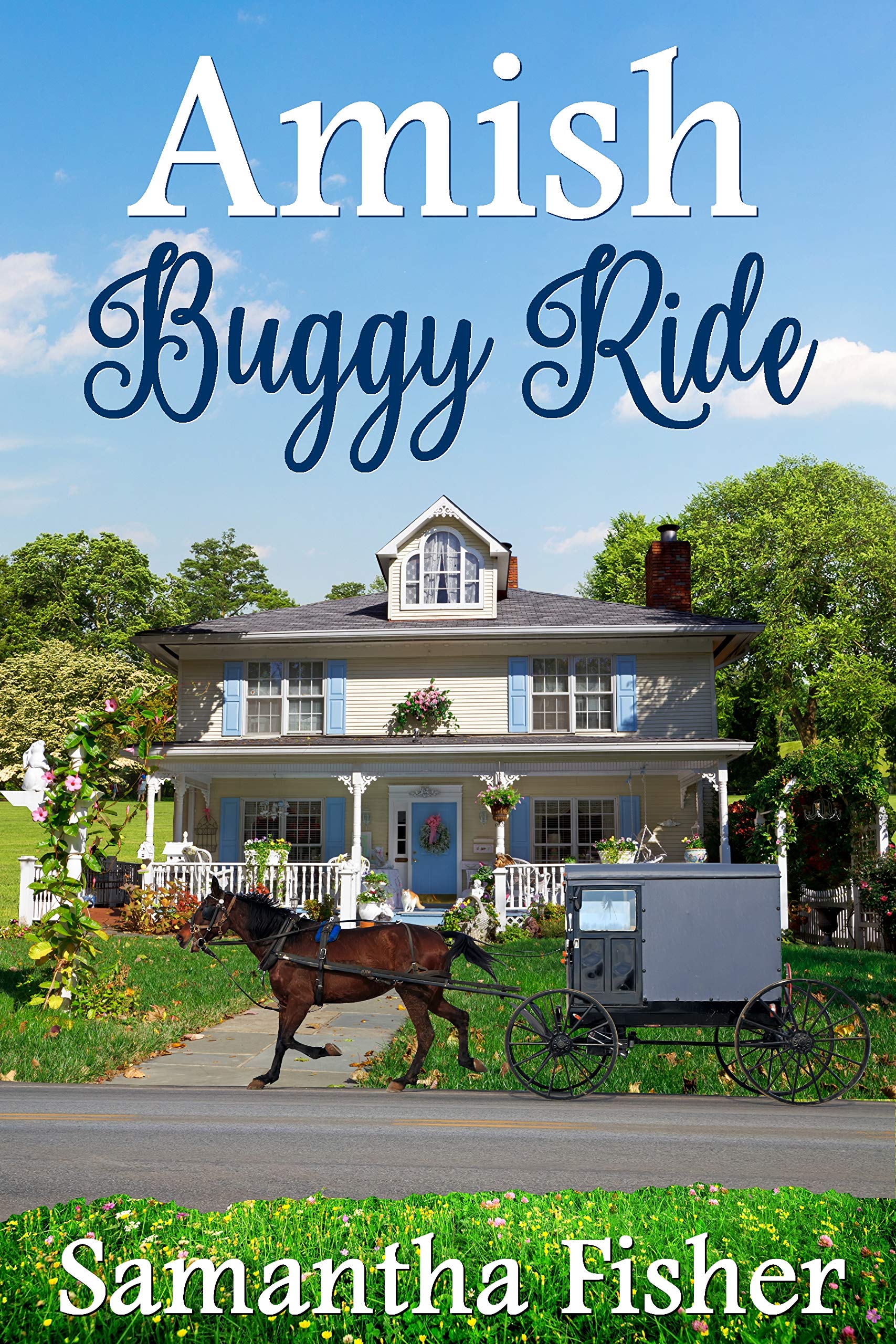 Amish Buggy Ride (Amish Homestead Book 1)