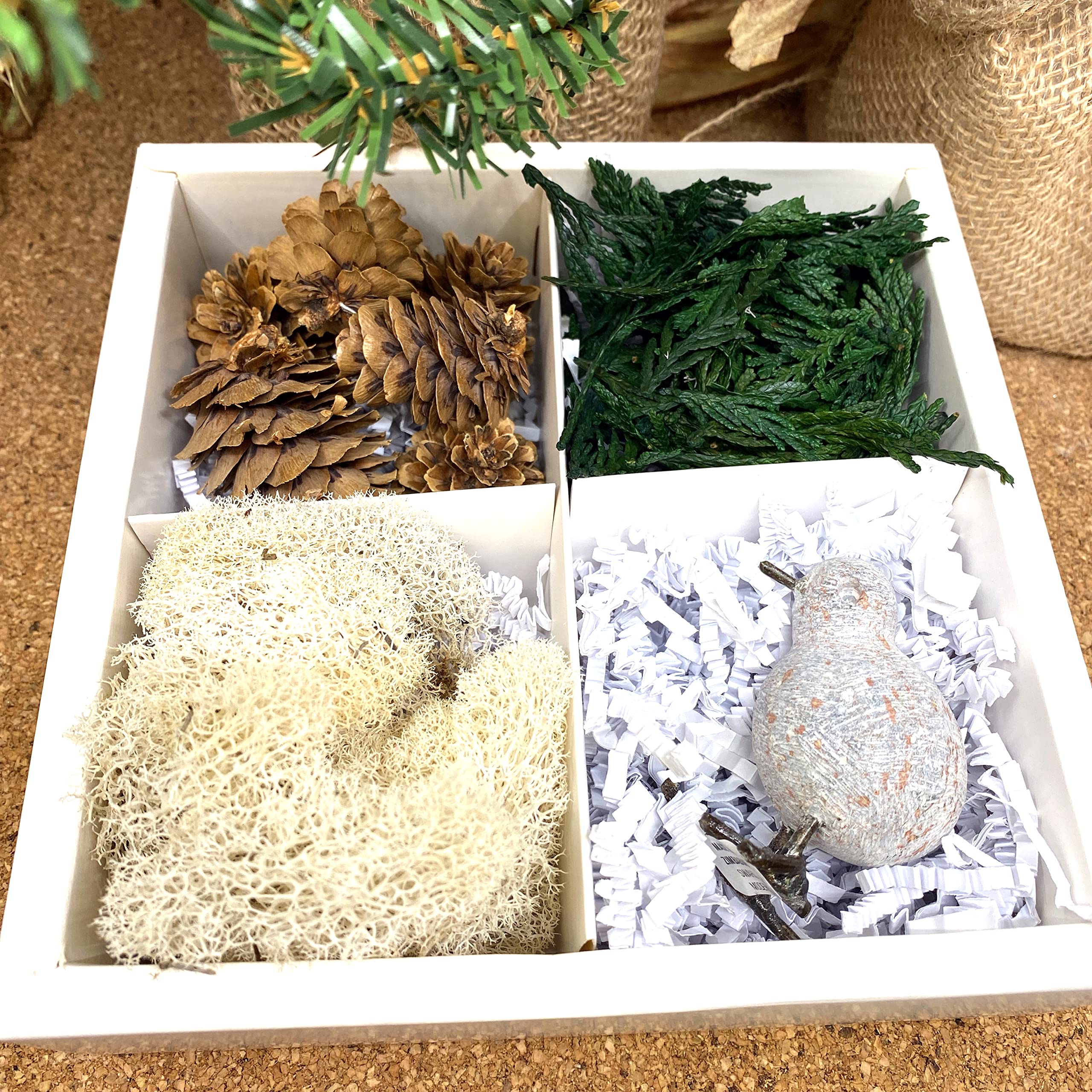 Kit de sculpture pour terrarium forêt tempérée fleurs séchées DIY