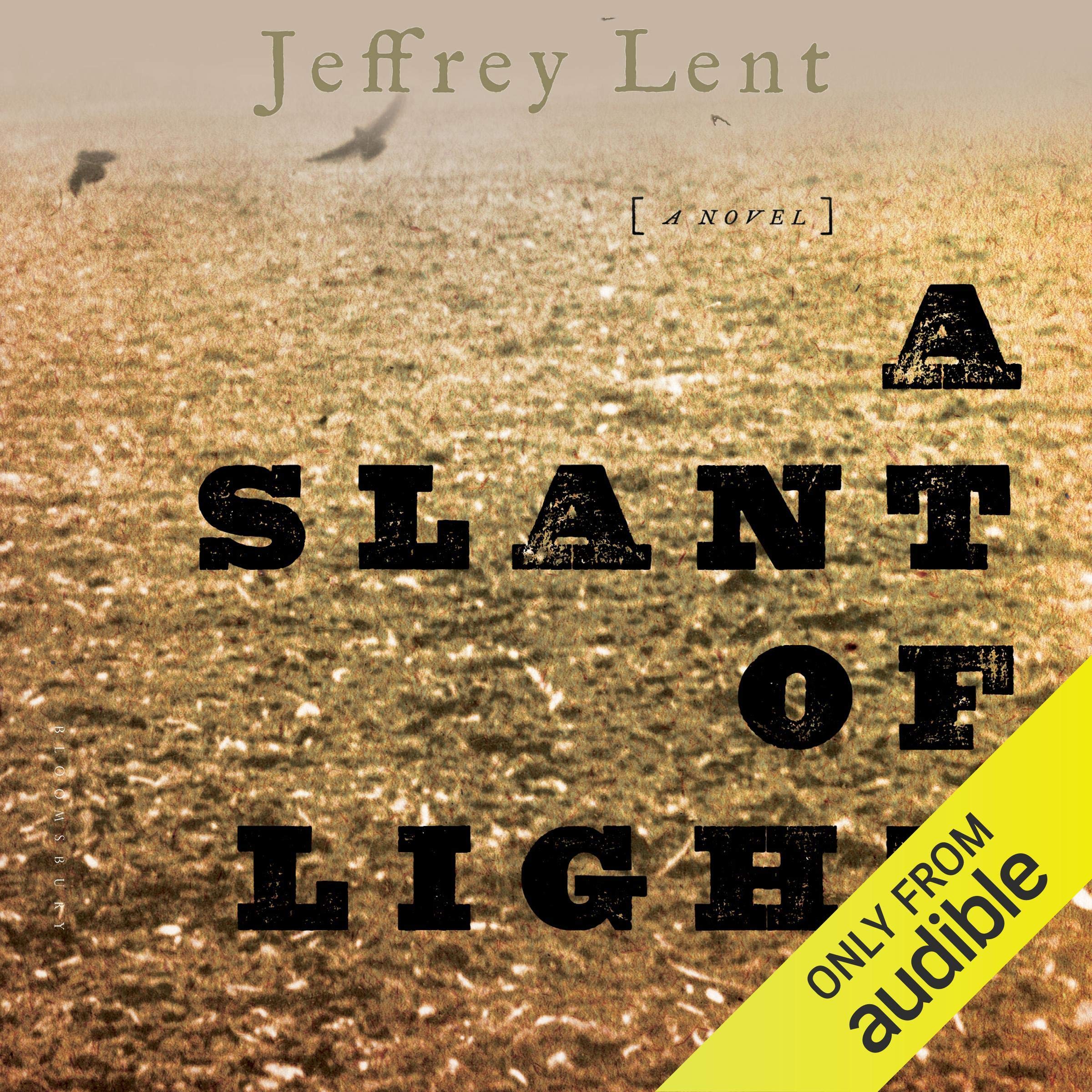 Cover art for A Slant of Light
