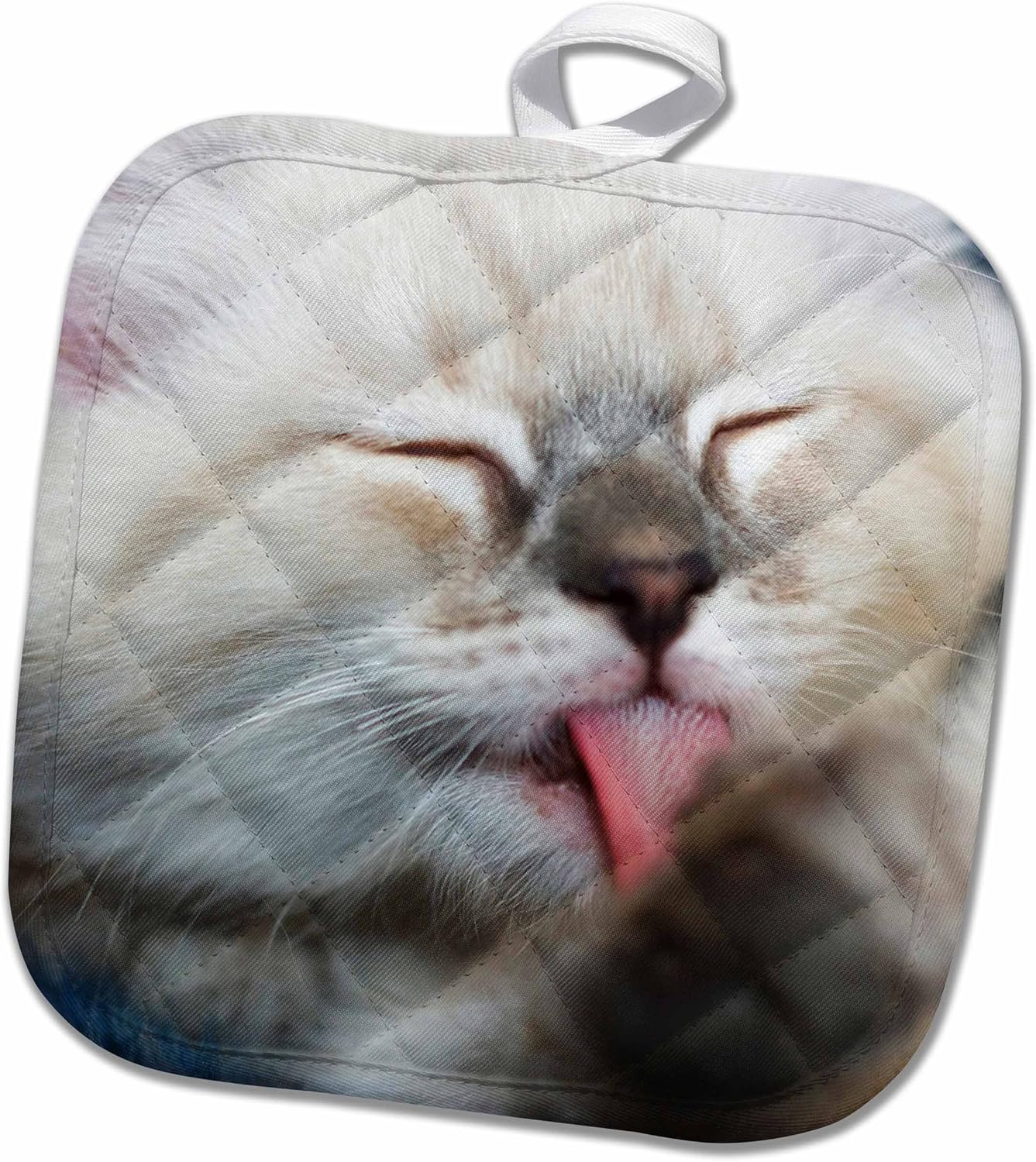 3D Rose Purebred Blue-Point Rag Doll Cat-Na02 Pwo0121-Piperanne Worcester Pot Holder, 8 x 8