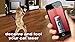 Laser For Cats: New Prank