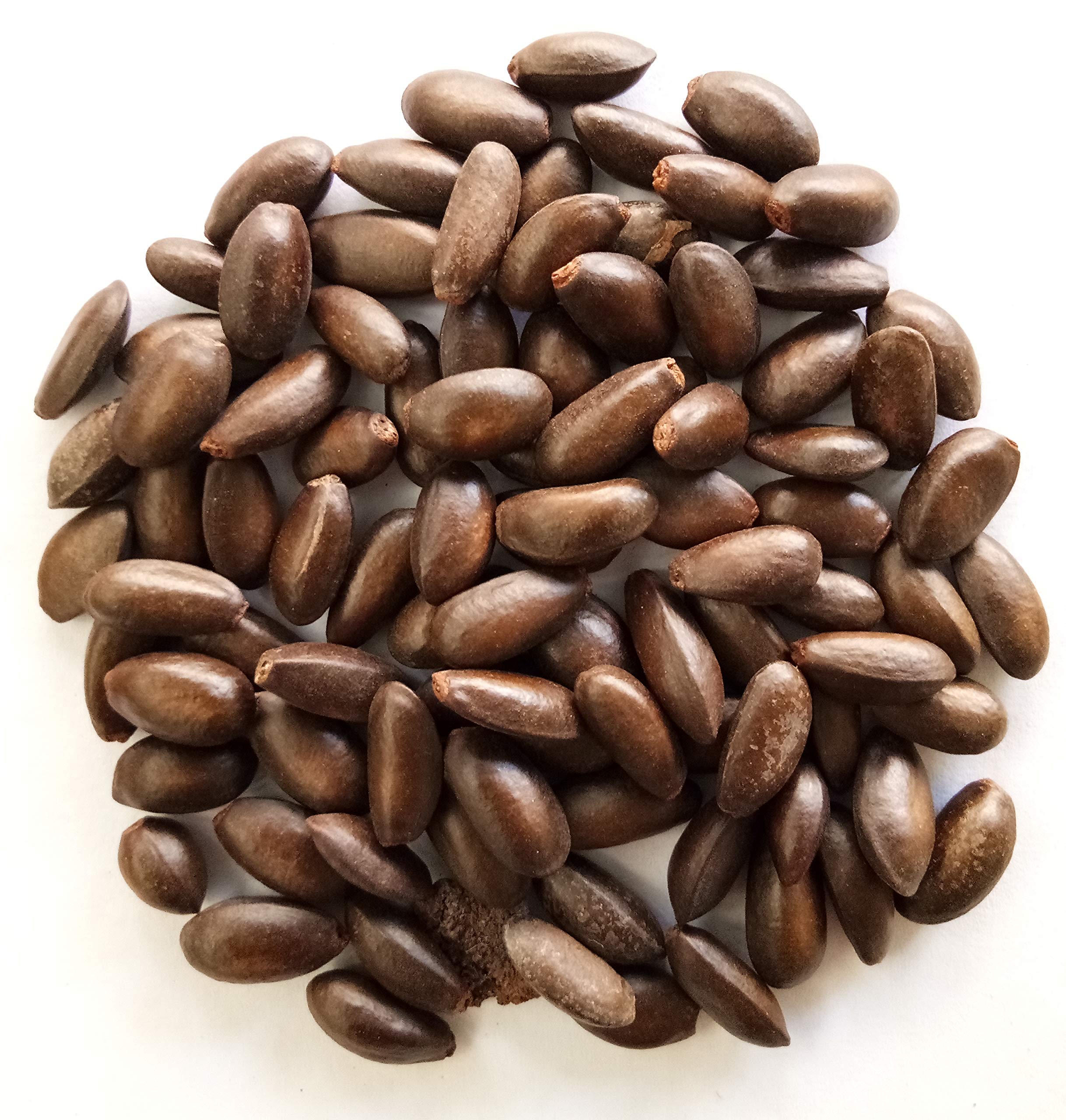 See full amazon price history chart for GREEN WORLD Custard Apple/Sitaphal/Annona Squamosa/Sugar Apple/Sweetsop/Sarifa Fruit Seeds (10 Gms Seeds) GREEN WORLD Custard Apple/Sitaphal/Annona Squamosa/Sugar Apple/Sweetsop/Sarifa Fruit Seeds (10 Gms Seeds) (B07X98CFX1) Amazon Price History, Amazon Price Tracker