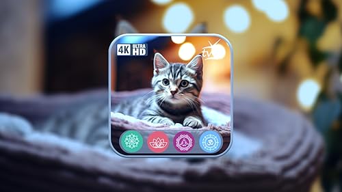 Sleep Music For Kittens Soft Lullabies-Calma Relaxe Seu Gato-Canção De Ninar Para Gatos Cat Music