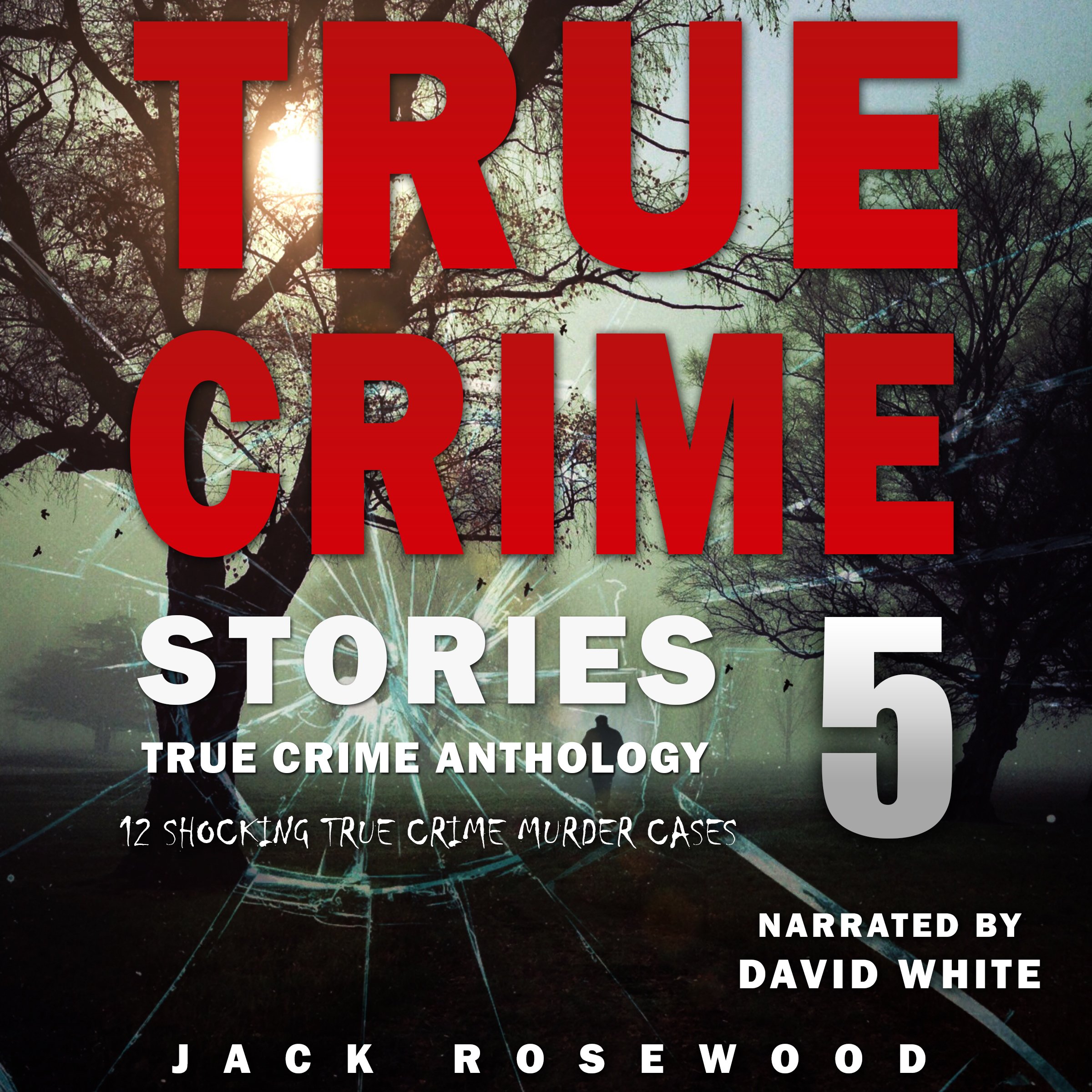 Cover art for True Crime Stories, Volume 5
