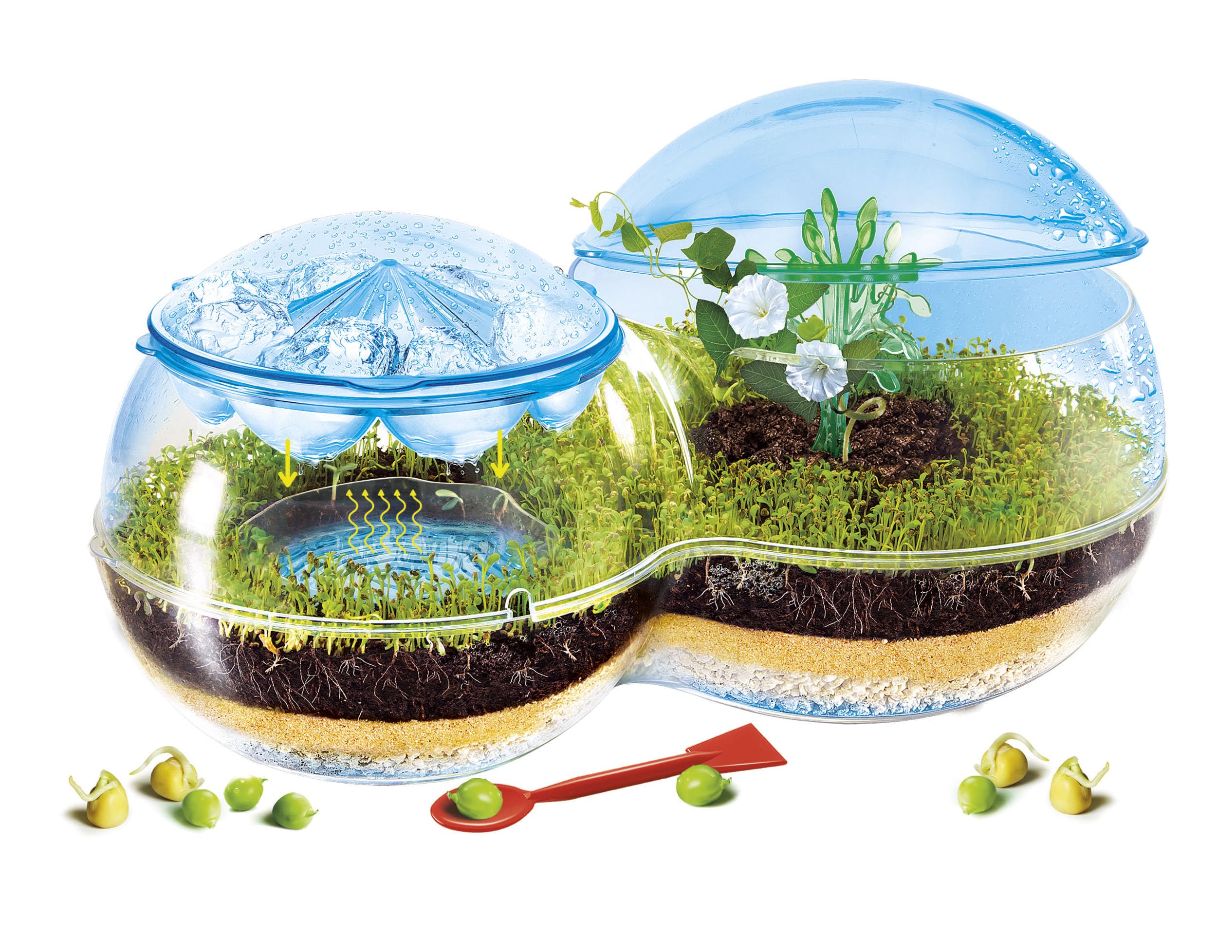 Clementoni Scienza e Gioco Lab - Rain Garden Terrarium, Kit Botanica 8+