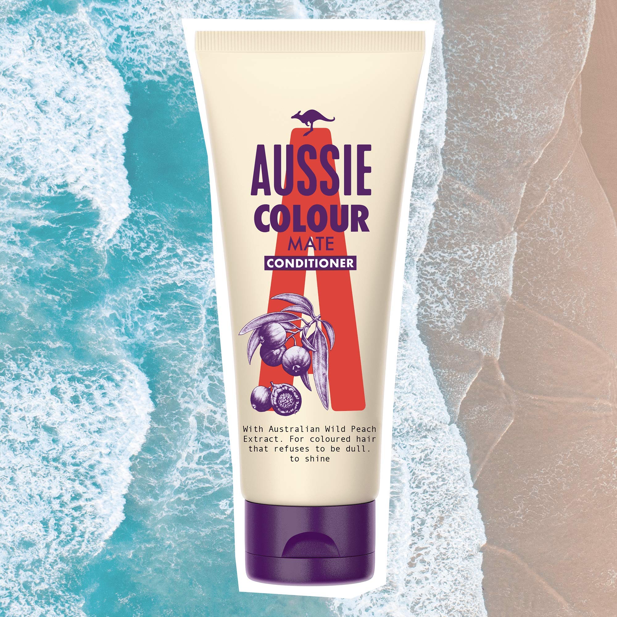 Aussie Colour Mate Conditionner 200 ml, Farbsicherer Conditioner, 6 Stück
