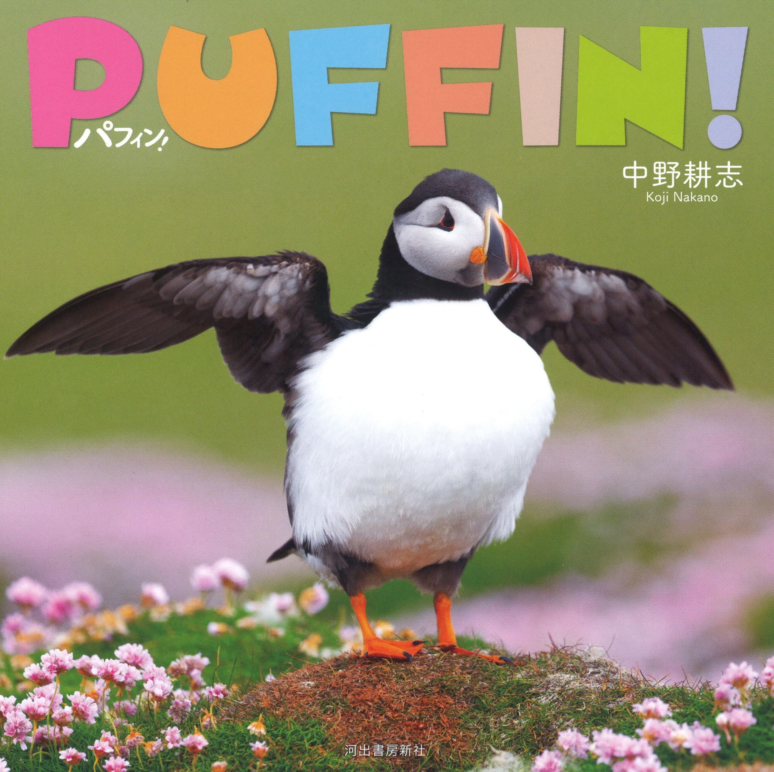 油絵　専用　ペンギンみたいな可愛すぎる鳥パフィン 油絵 専用 ペンギンみたいな可愛すぎる鳥パフィン