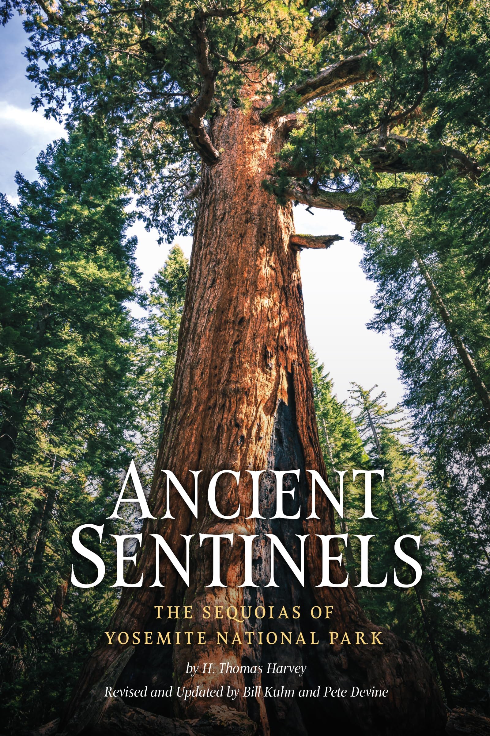 Ancient Sentinels: The Sequoias of Yosemite National Park Paperback โ Big Book, 8 May 2018