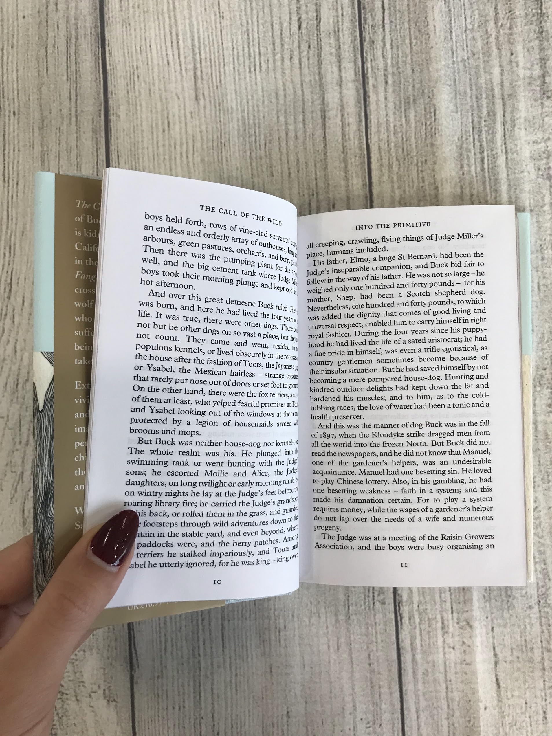 The Call of the Wild & White Fang: Jack London