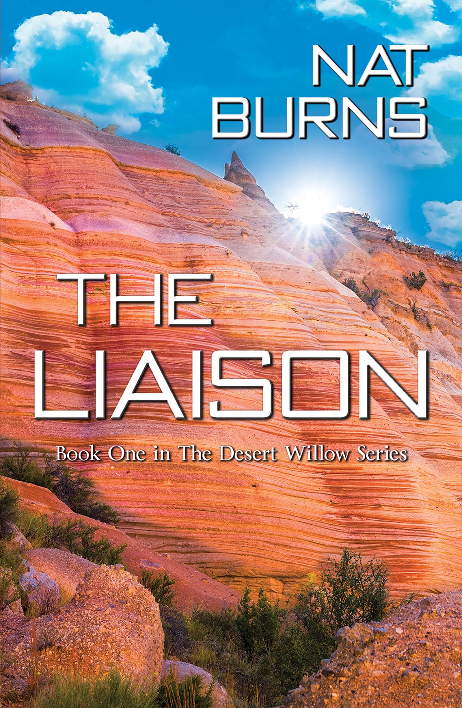 Buy The Liaison (Desert Willow, 1) — BookShops.in