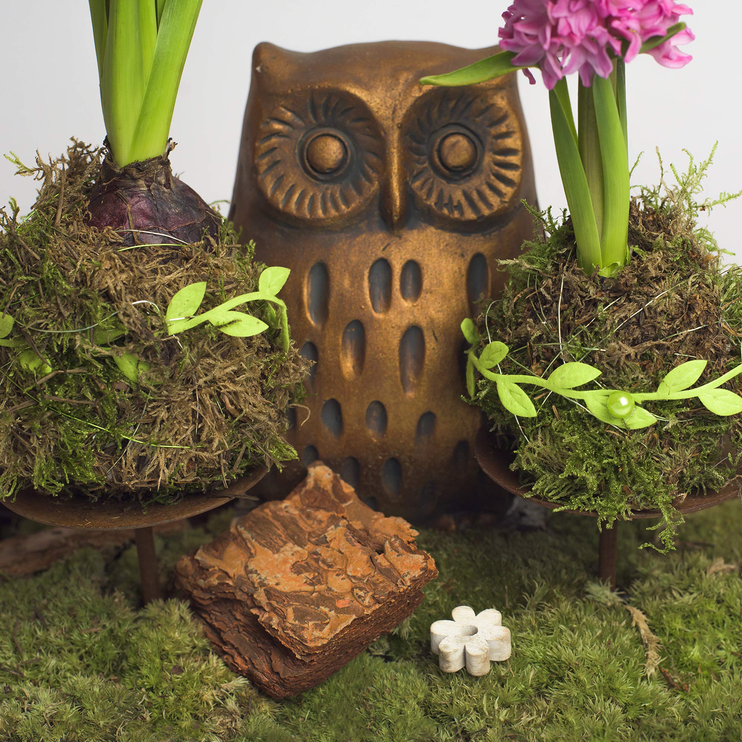 1 Kiste Echtes Moos - Bollenmoos- Moos Bollen Natur Deko Moos zum basteln in verschiedenen Sorten - DIY - Islandmoos, Plattenmoos, Bollenmoos, Hügelmoos Sphagnum Moos Grün Frisch Kugelmoos