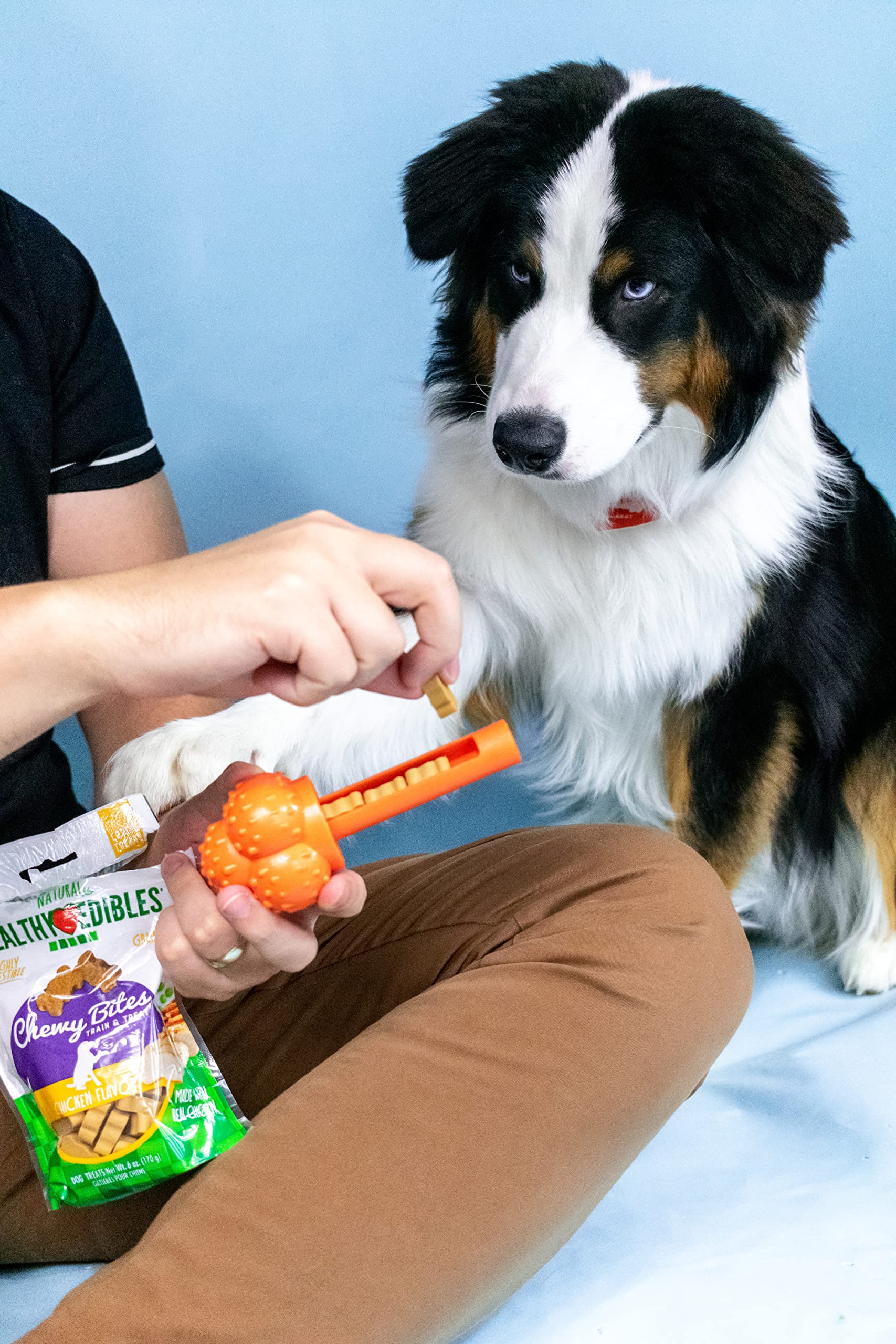 Nylabone Zabawka do żucia i leczenia dla psów – interaktywne zabawki do żucia i uzdatniania psów