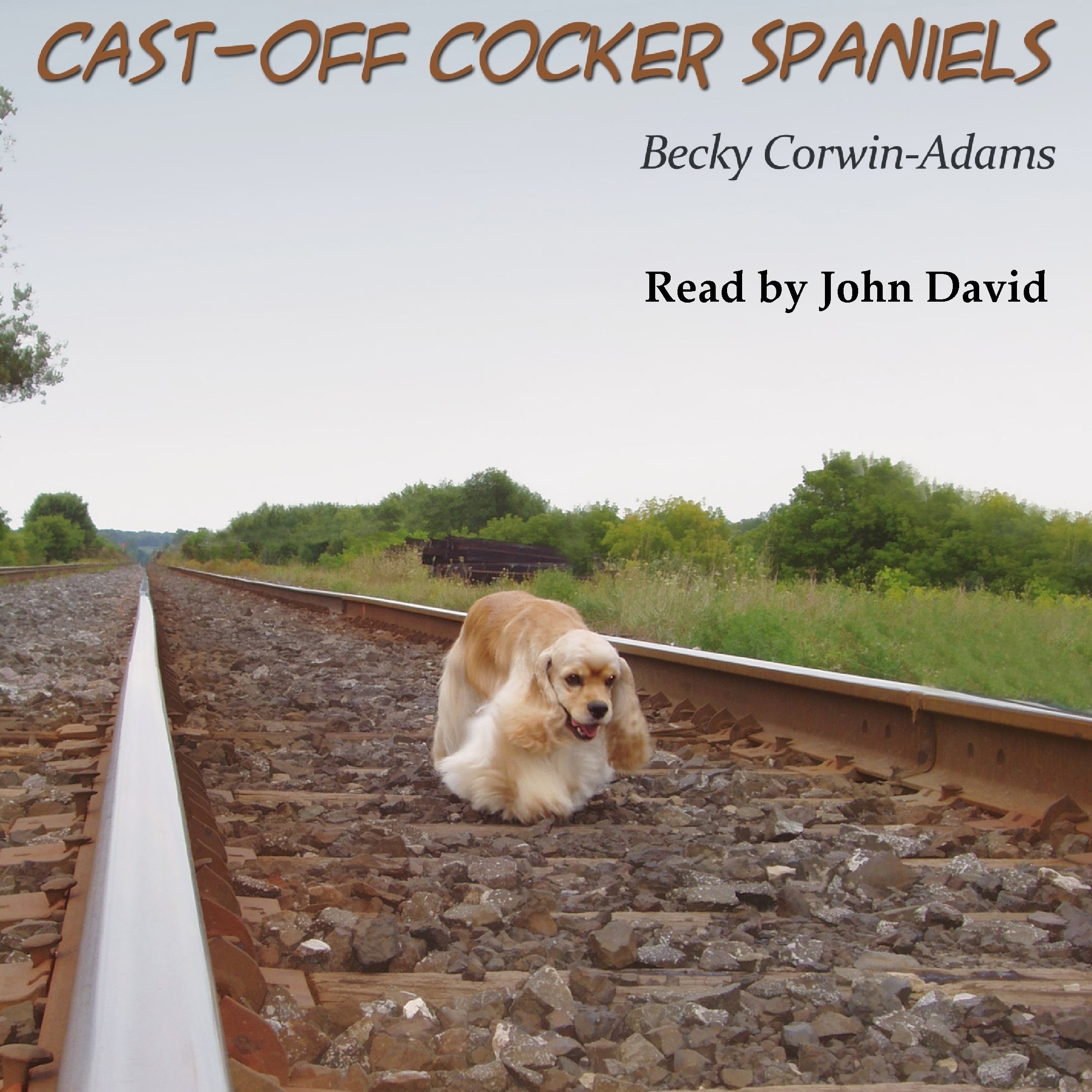 Cast-Off Cocker Spaniels