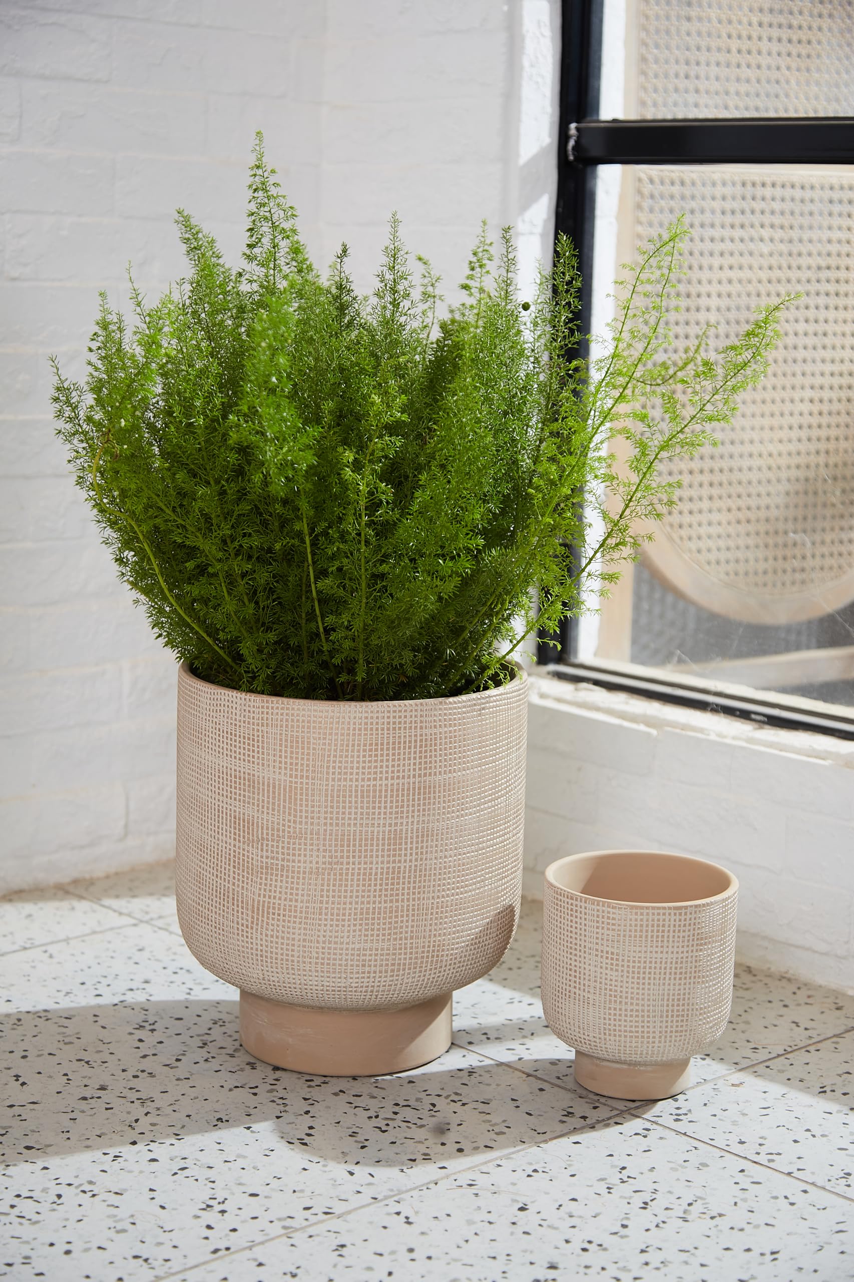 Olly & Rose Vaso per piante in ceramica rialzata beige