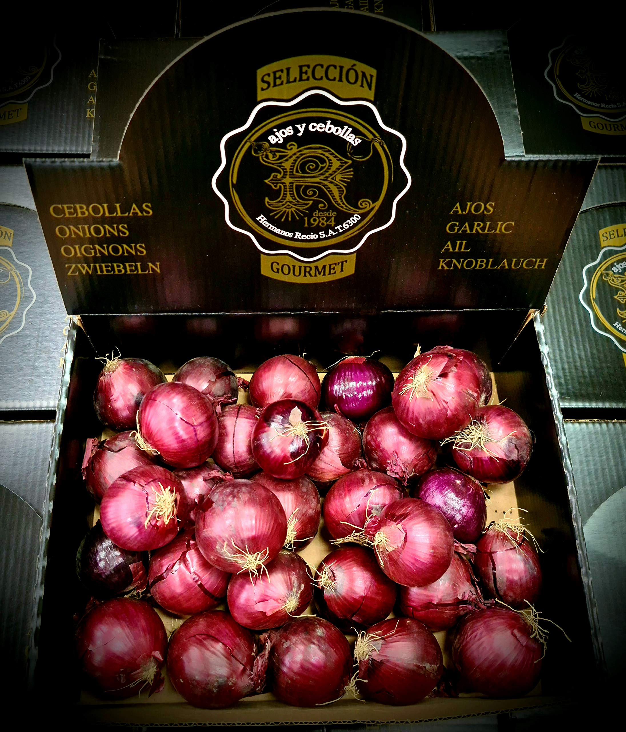 5 kg. Cebolla Roja-Morada - Selección Gourmet
