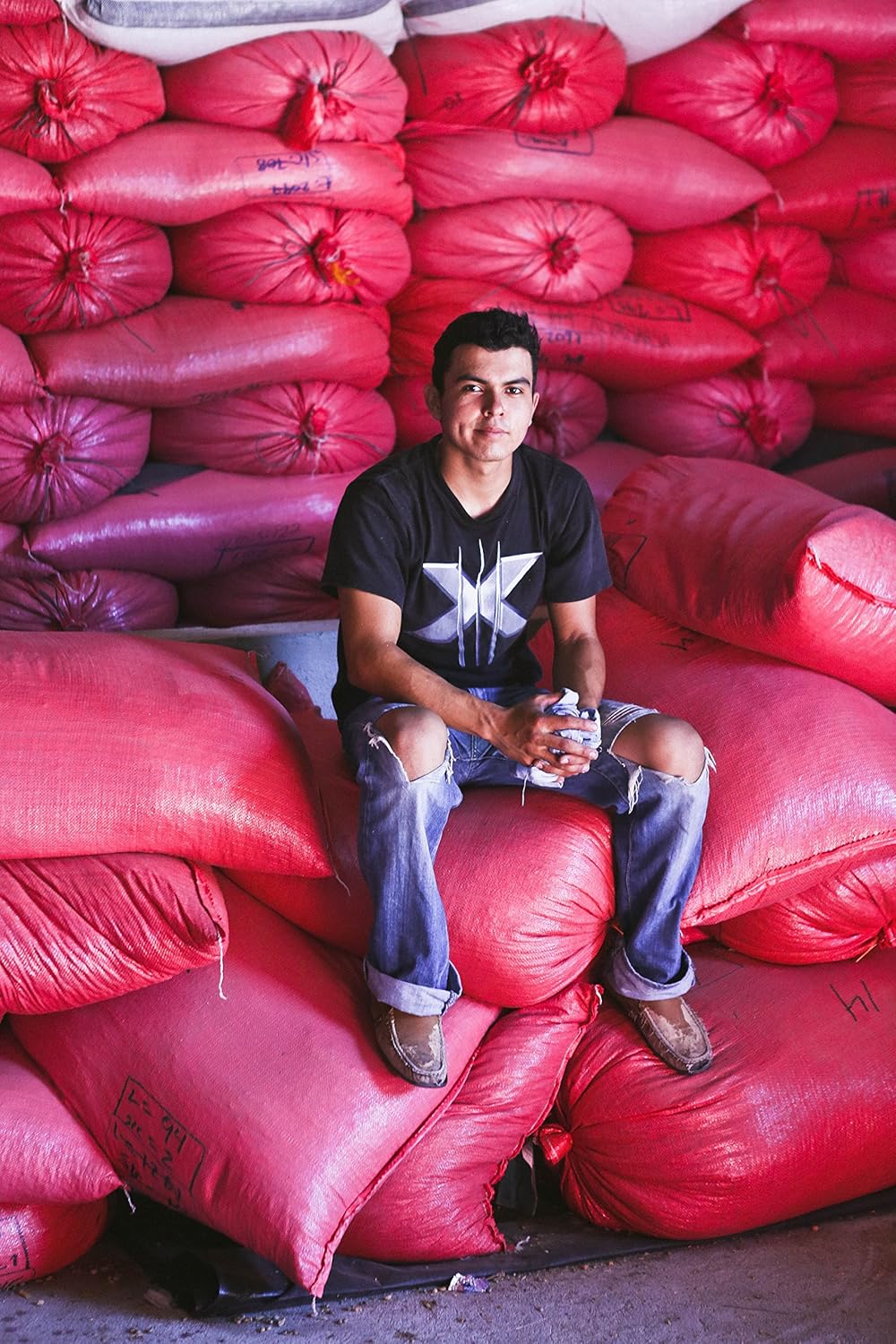 GREEN MAYA Finca Alta de Jinotega Arabica Coffee Beans 100% Certified Organic Nicaragua Single Origin Coffee Espresso