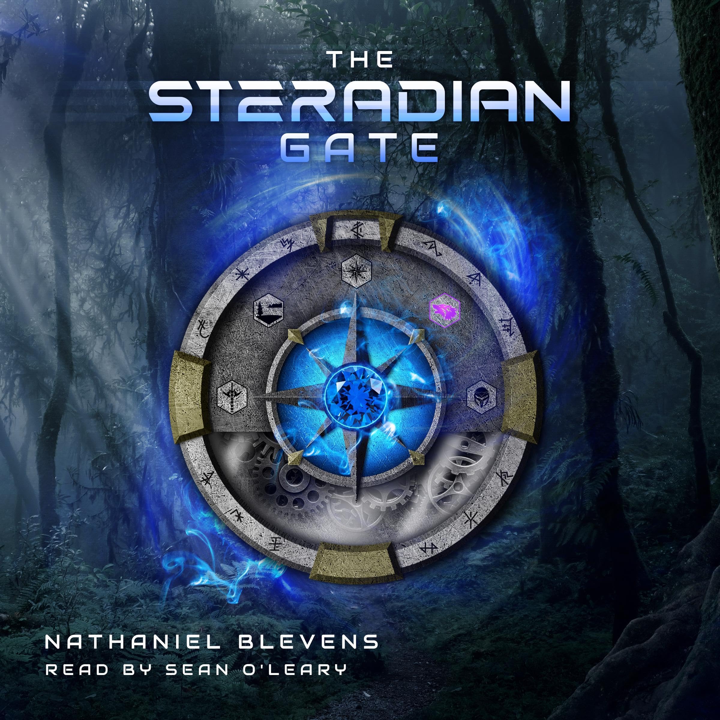 Cover art for The Steradian Gate