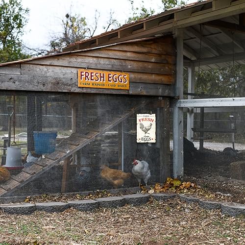 Miniatura 4 de Letrero de metal vintage de gallinero de granja huevos frescos letrero de lata para granja granero supermercado 8 x 12 pulgadas
