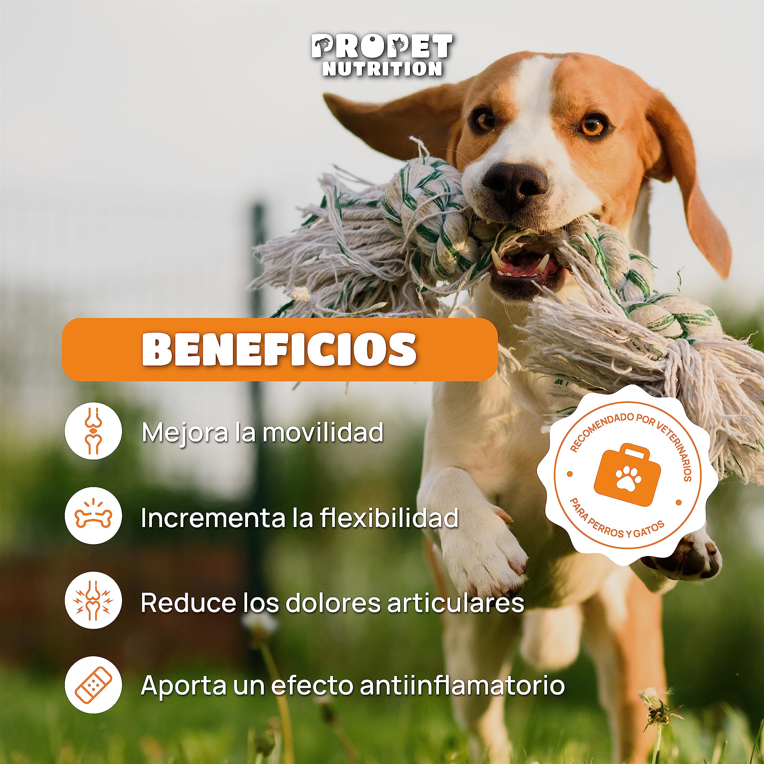 Condroprotector Perros y Gatos. Antiinflamatorio Gran Concentración. Glucosamina, Condroitina, Colágeno, 10 Vitaminas, Cúrcuma. 120 Comprimidos. Sin Azúcar. Fortalece las Articulaciones de tu Mascota