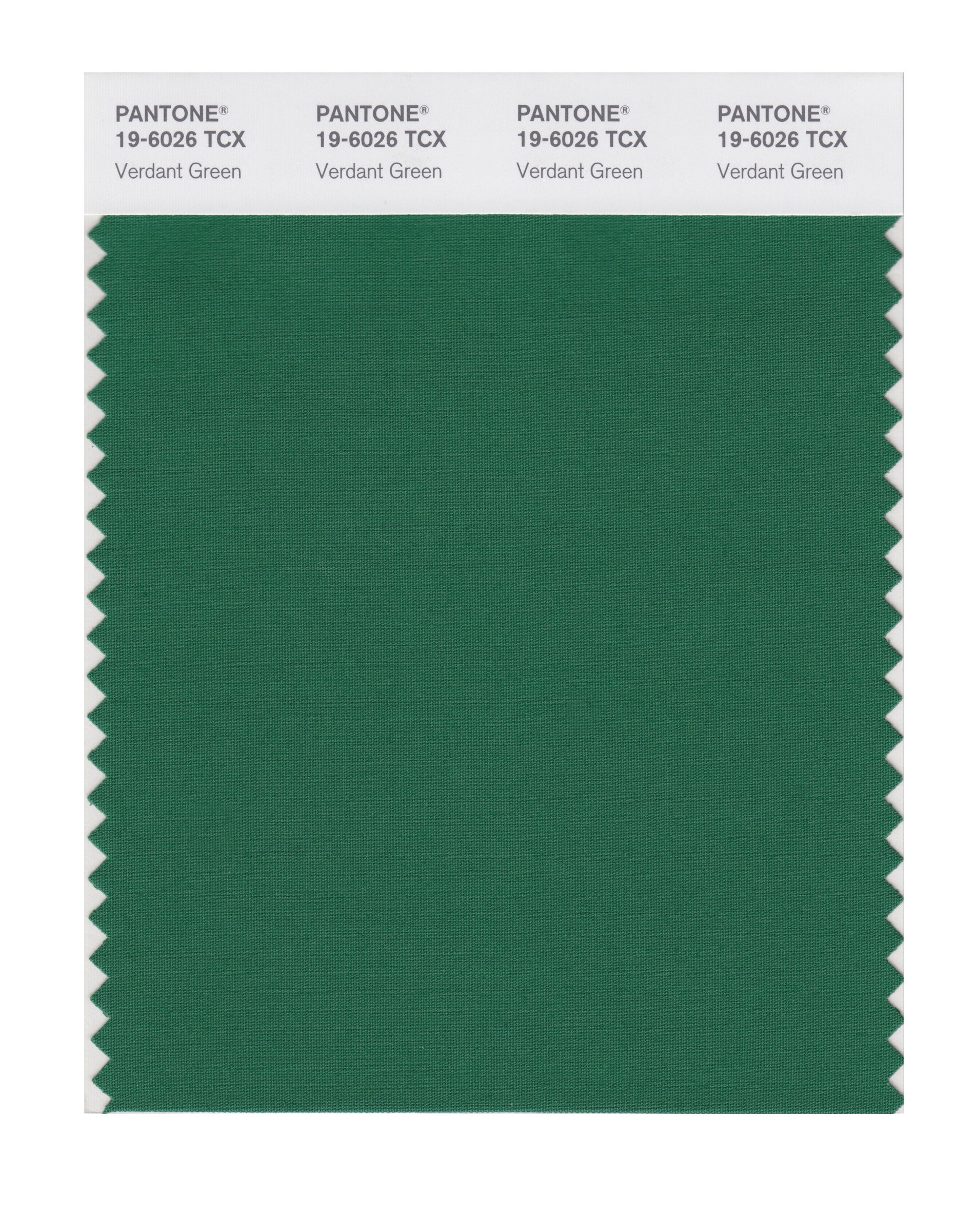 Amazon.co.jp: PANTONE SMART 19-6026X Color Swatch Card, Verdant