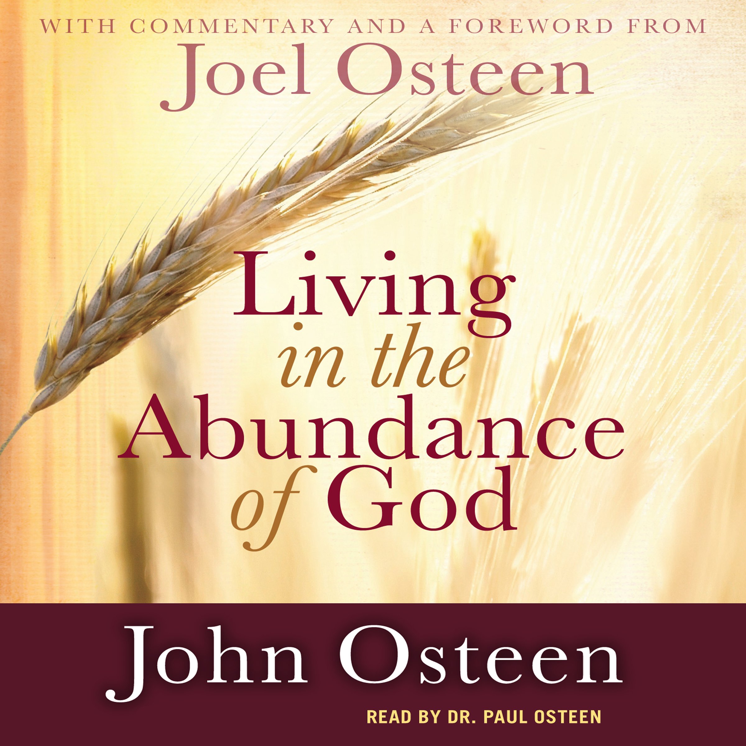 Cover art for Living in the Abundance of God