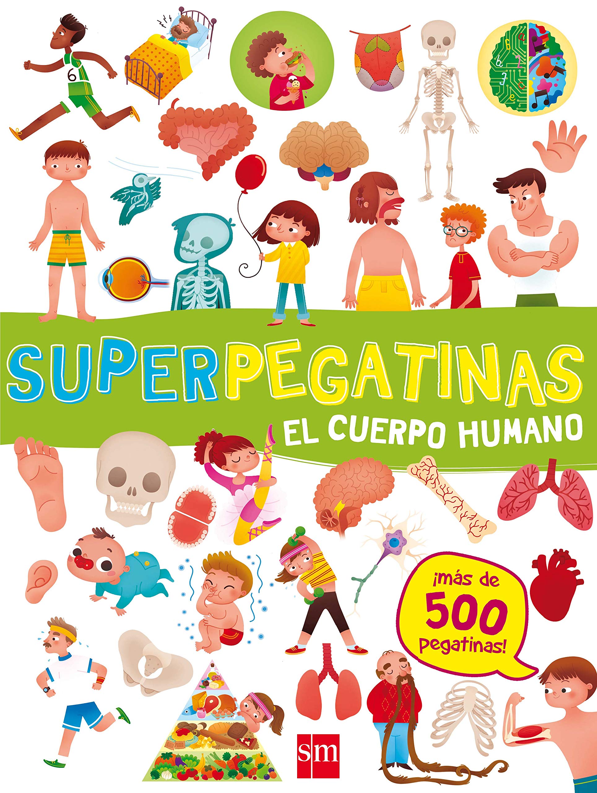 SAMBRO Carotina El Cuerpo Humano Para Los Más Pequeños – Juguete Educativo De Biología Para Niños, Aprende Jugando Con Electrónica Divertida