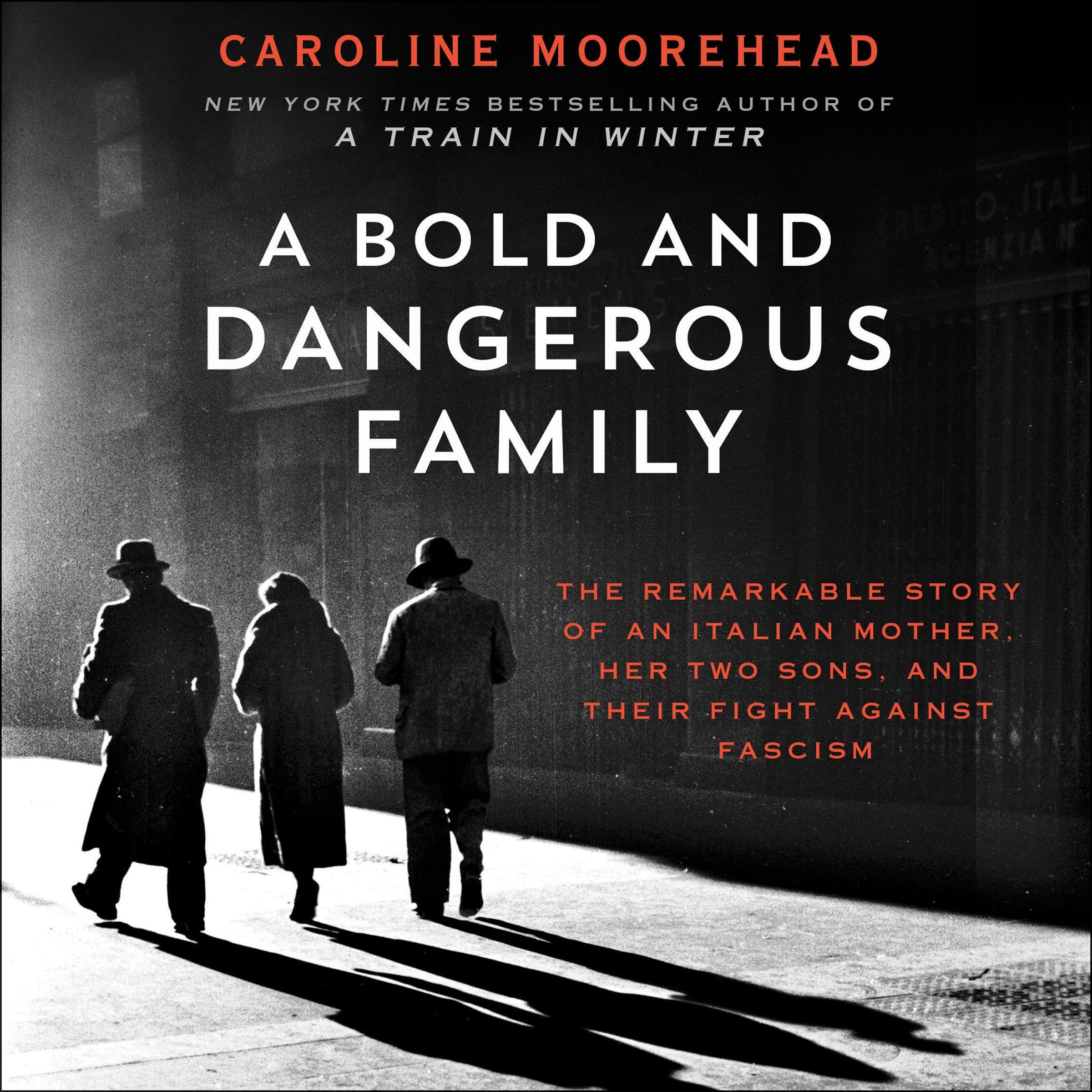 Cover art for A Bold and Dangerous Family