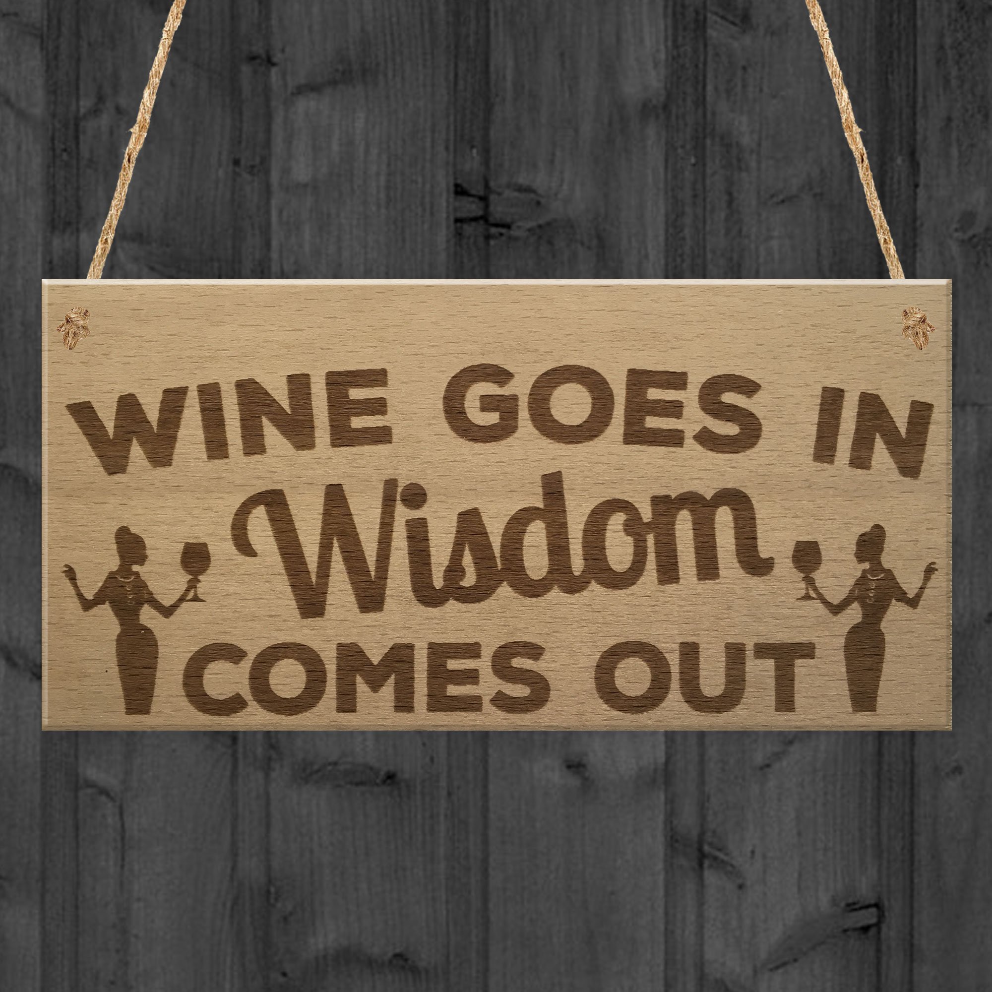 Red Ocean Wine In Wisdom Out Funny Friendship Best Friend Hanging Plaque Home Gift Sign