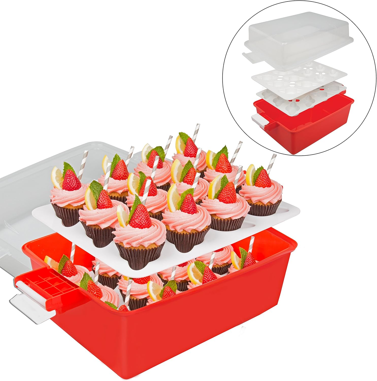 Cupcake Carrier Holds 24 Large Cupcakes or Muffins 2