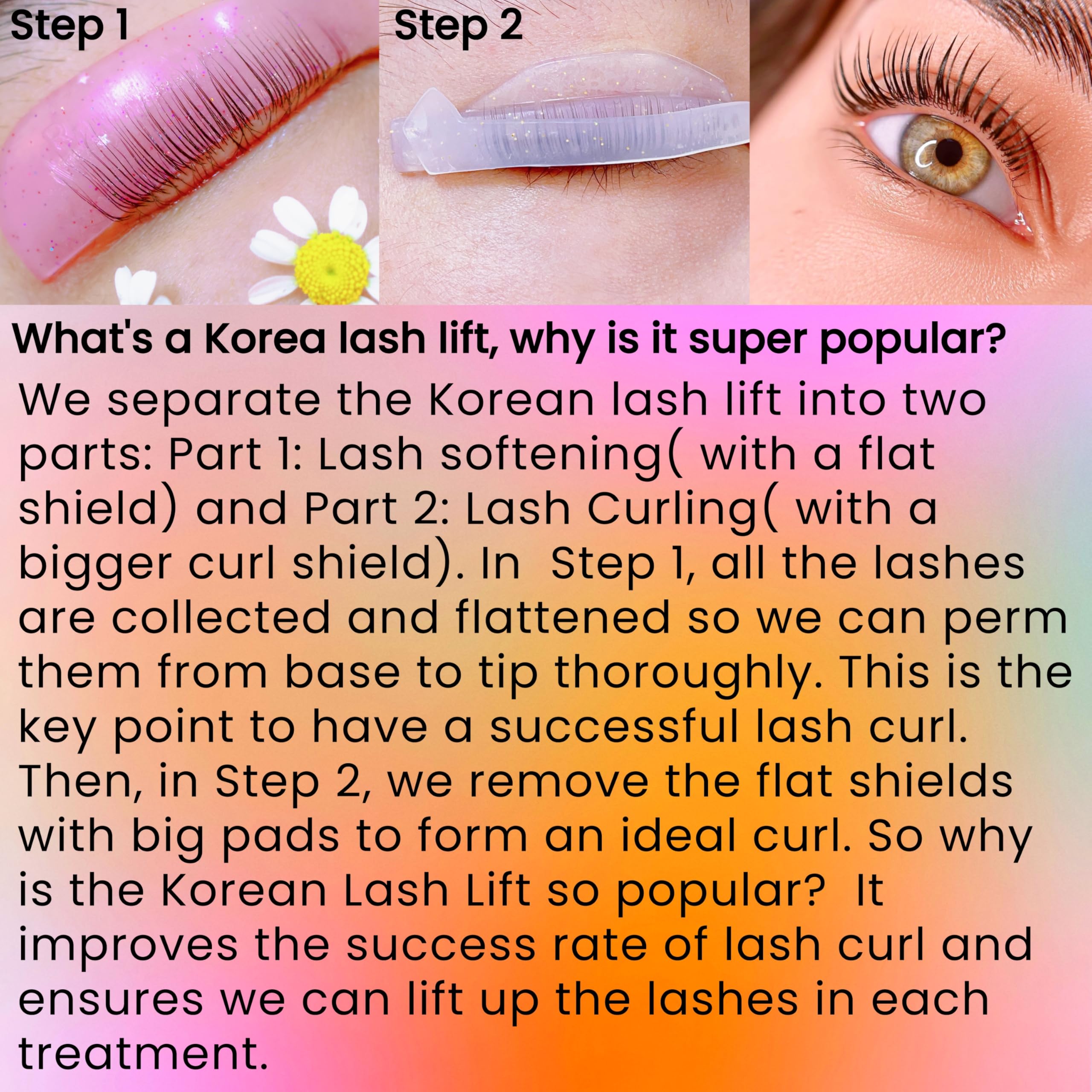 Korean Lash Lift Kit with Flat Shields, Curl Pads & 15 Applications (Rose)