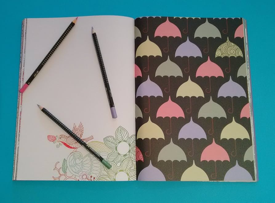 Amazon.co.jp: ファーバーカステル アートグリップ油性色鉛筆 24