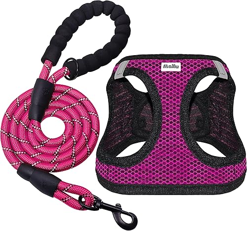 Miniatura 6 de Juego de arnés y correa para perro, arnés reflectante ajustable sin tirones con malla de aire acolchada para perros y gatos pequeños y medianos (XL,