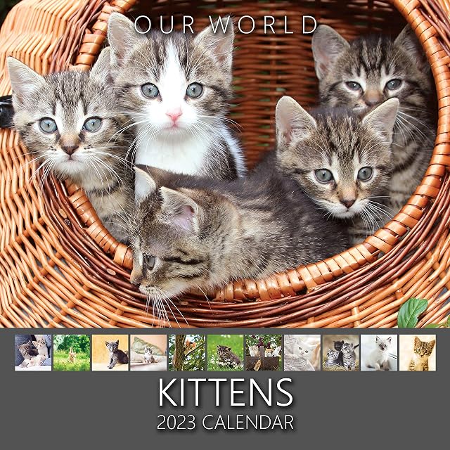 Our World Kittens 2023 Kitten Wall Calendar. Cute Cat Calendar