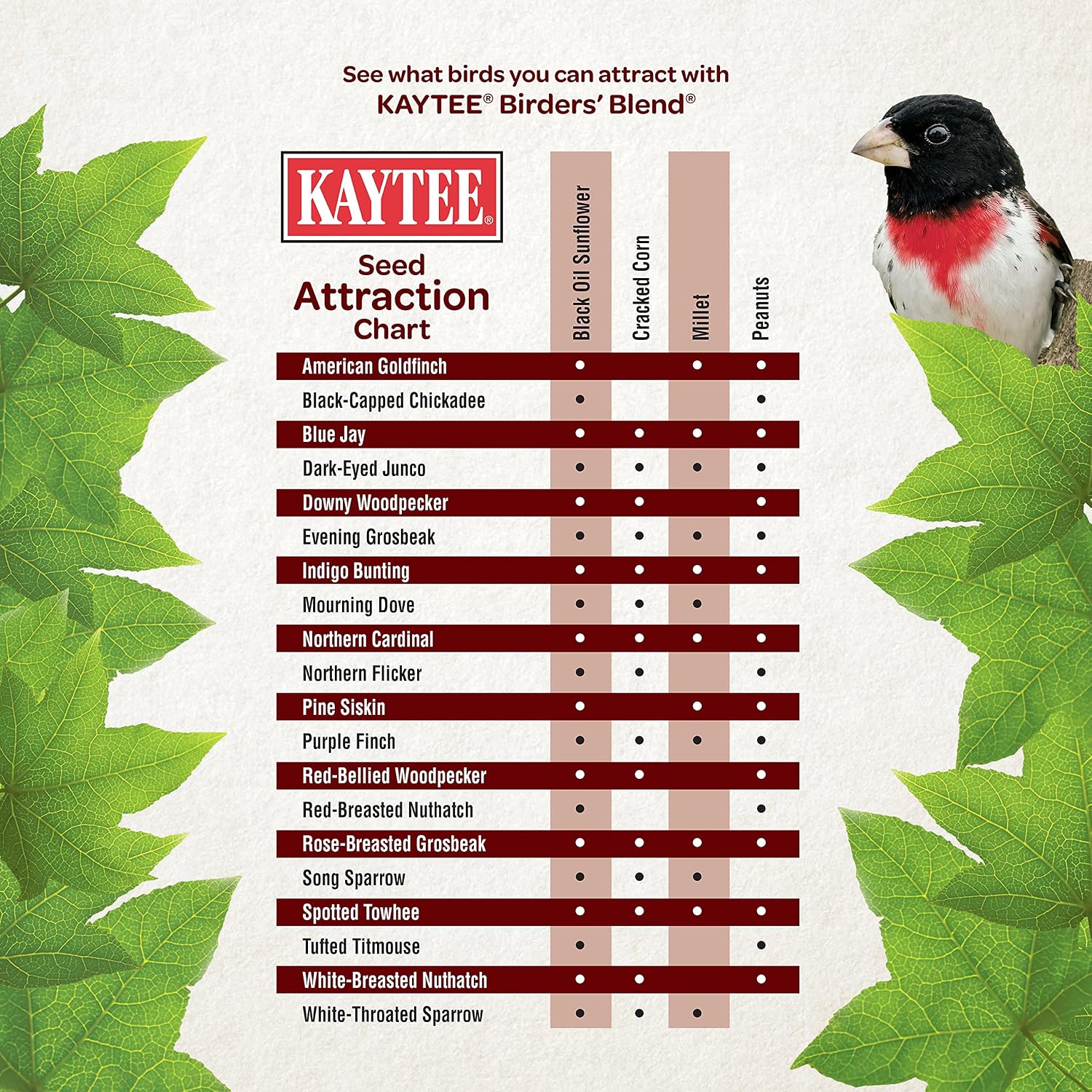 Kaytee Birders' Blend, 16-Pound Bag