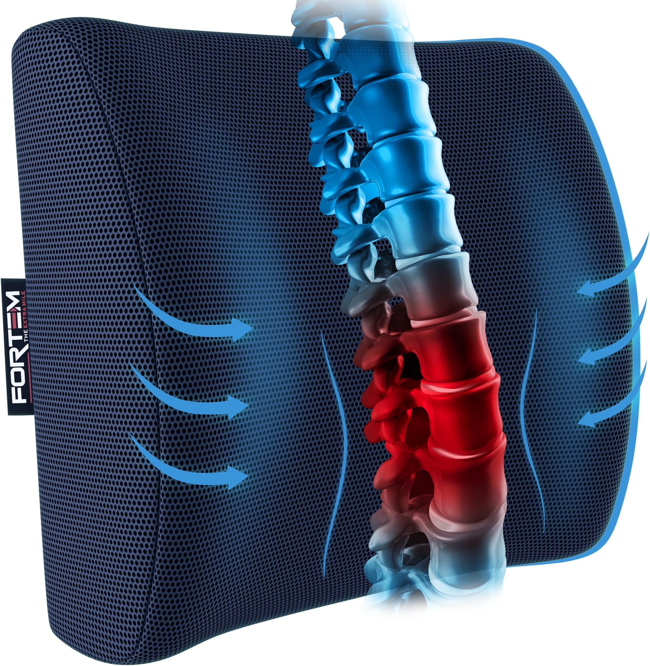 LSLJS Coussin de Soutien Lombaire en Coton à Mémoire de Forme pour Chaise de Bureau, Protection de la Taille de la Voiture, Coussin de Soutien Lombaire pour l'Été
