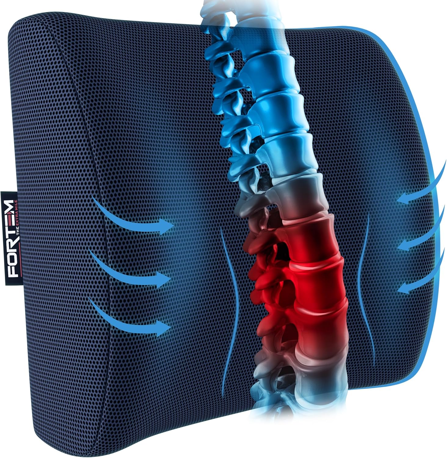 FORTEM Lumbar Support Office Chair, Lumbar Support Pillow