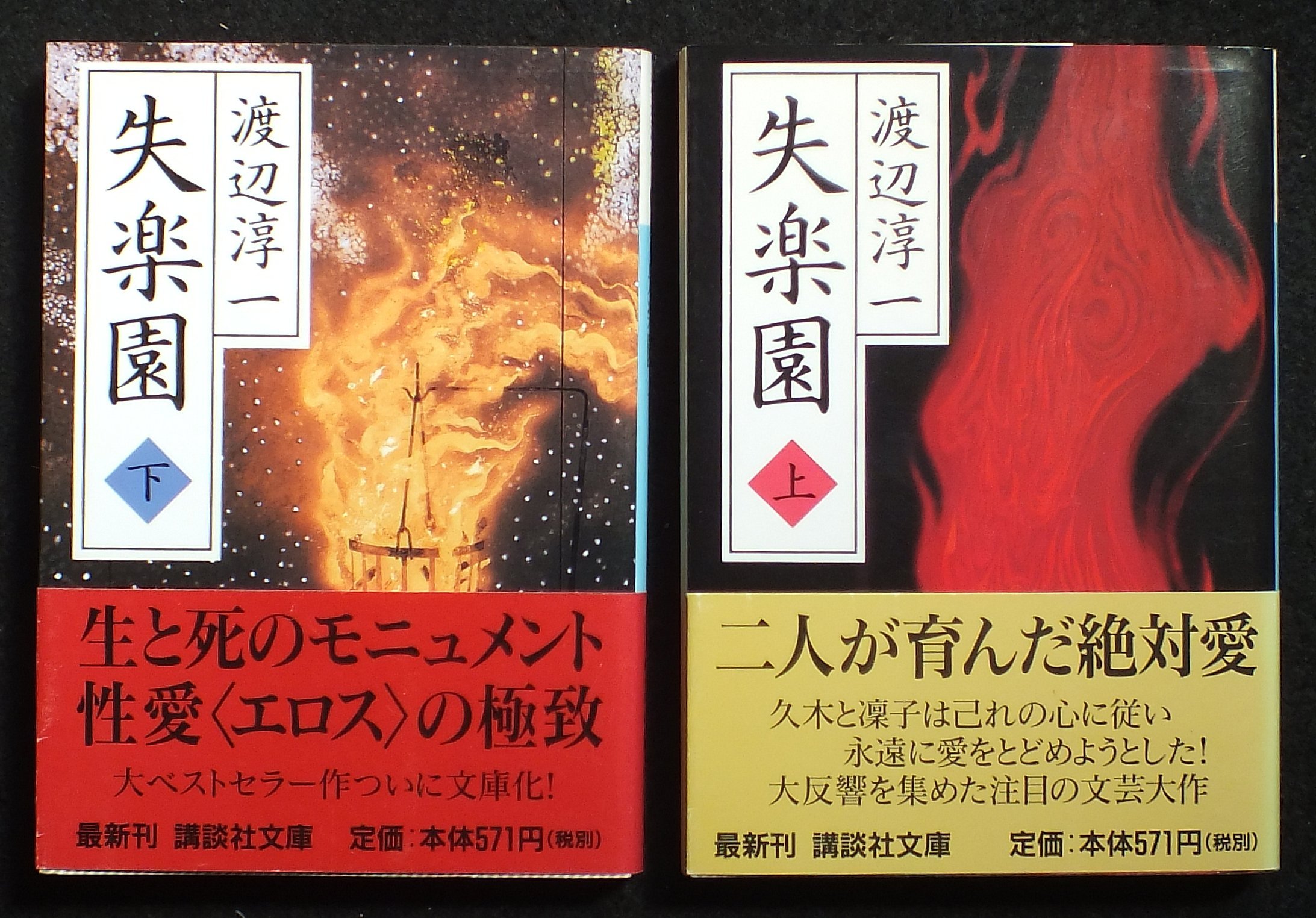Amazon.co.jp: 渡辺淳一 失楽園 上下巻セット (講談社文庫) : 本