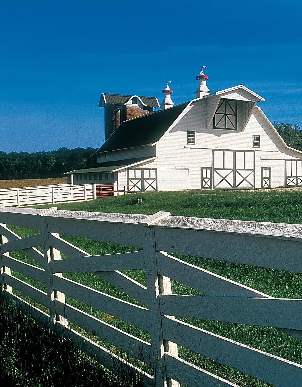 Ultimate Guide: Barns, Sheds & Outbuildings, Updated 4th Edition: Step-by-Step Building and Design Instructions Plus Plans to Build More Than 100 Outbuildings (Creative Homeowner) Catalog of Plans - Image 3