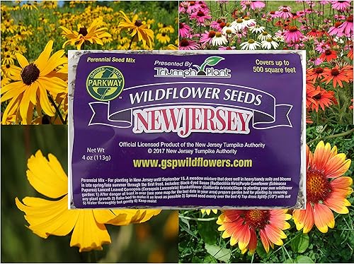 Mezcla de semillas de flores perennes - Semillas de flores silvestres para plantar - Perrenials - Atrae mariposas y pájaros