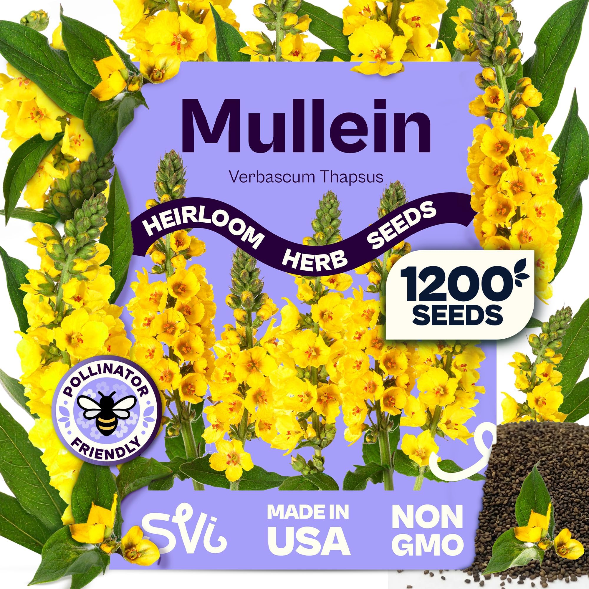 SVI 1200 Mullein Seeds for Planting (Verbascum thapsus) - Great Mullein, Heirloom Non GMO Herbs, 4-6 ft Spikes - Medicinal Herb Seeds for Flower and Herb Garden