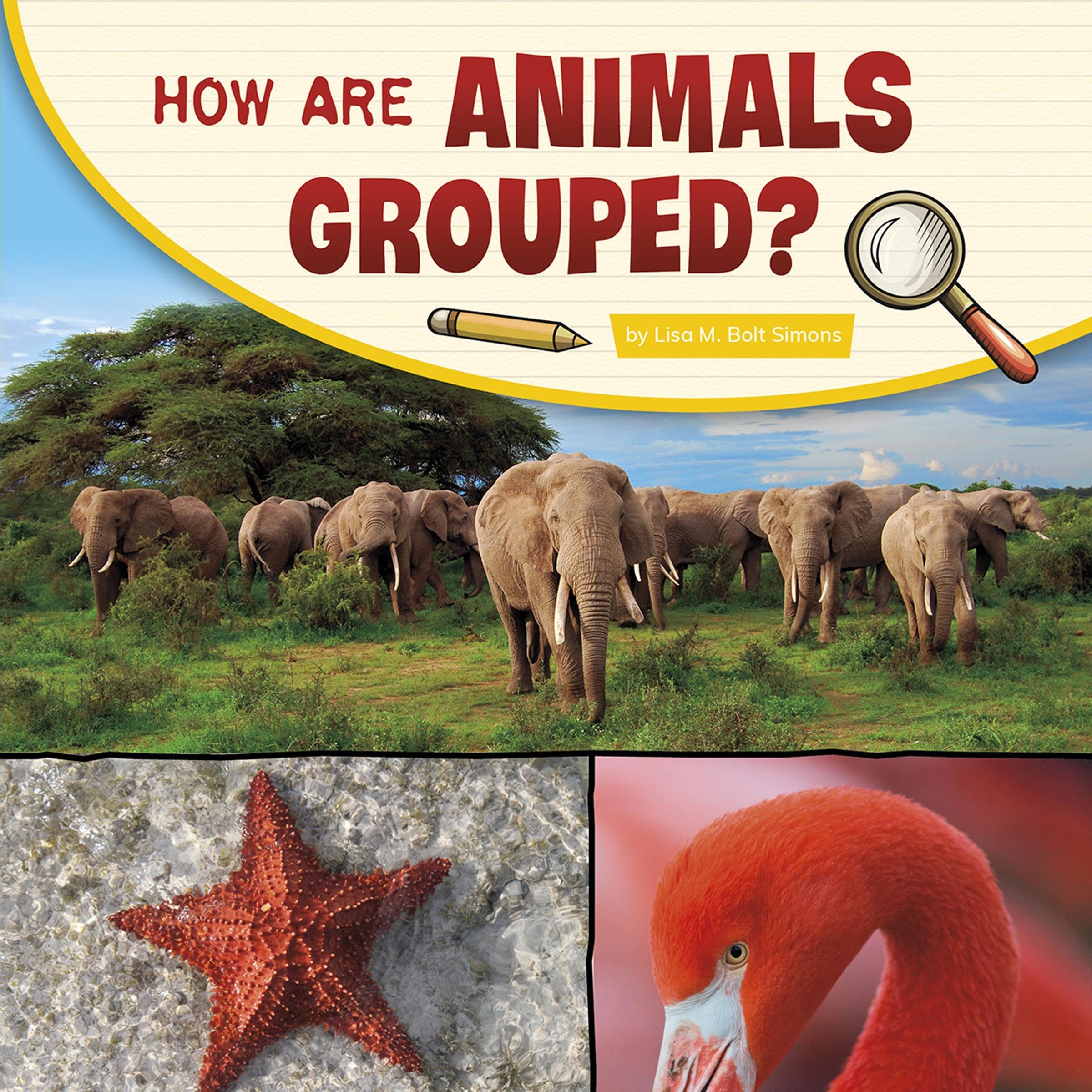 How Are Animals Grouped?