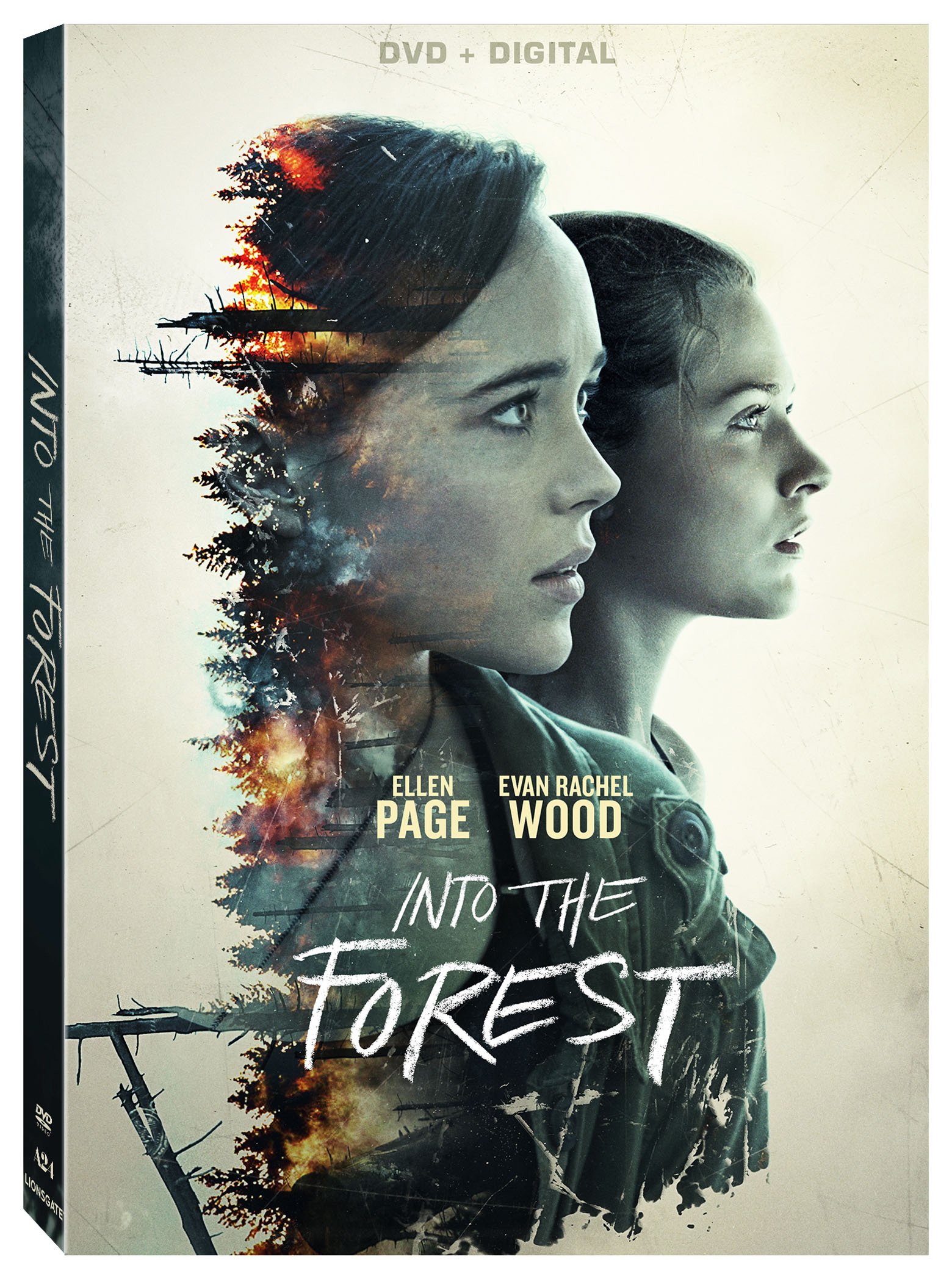 Amazon.com: Into The Forest [DVD + Digital] : Ellen Page, Evan 