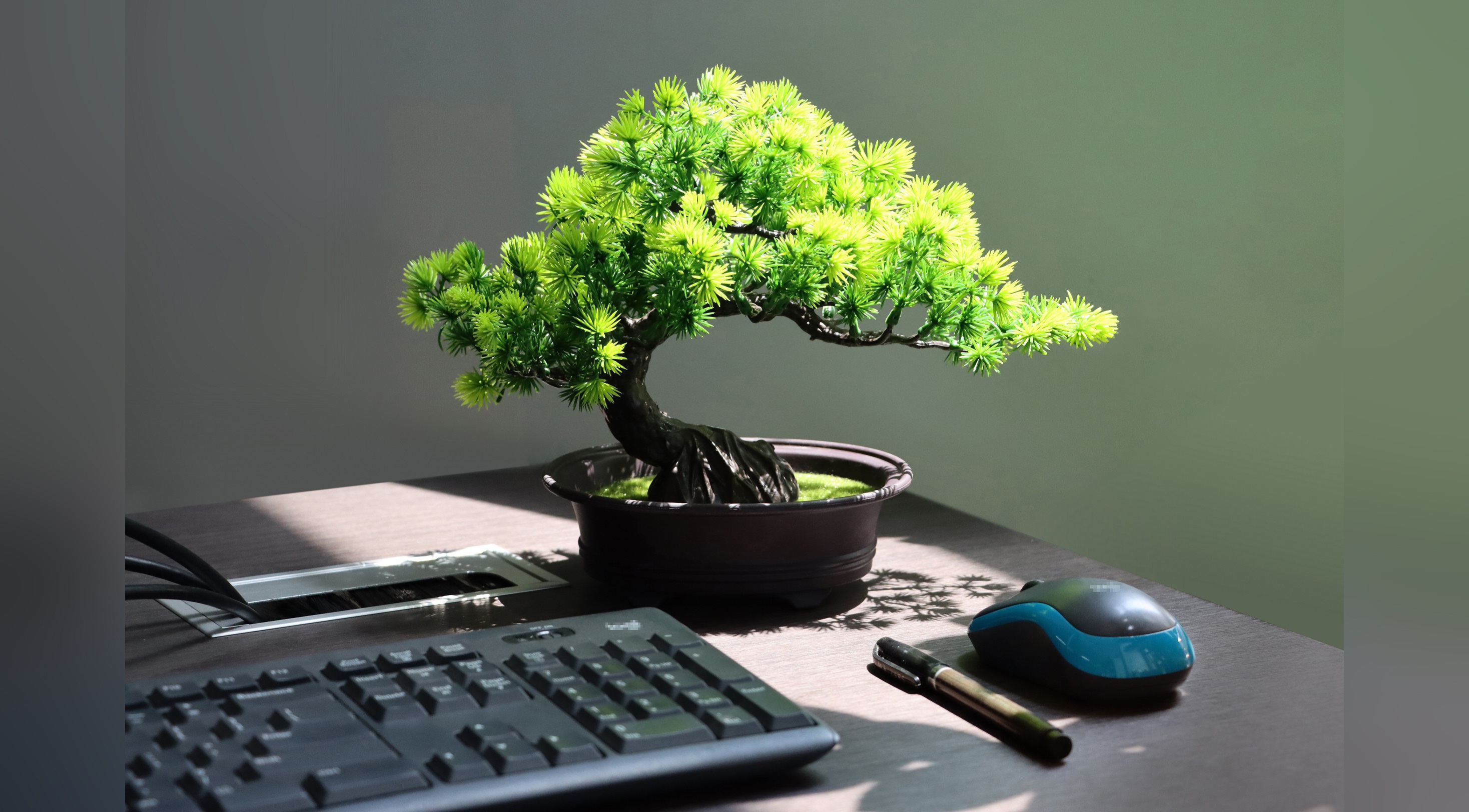 Amazon.com: YOERM Artificial Bonsai Tree Fake Plants for Home