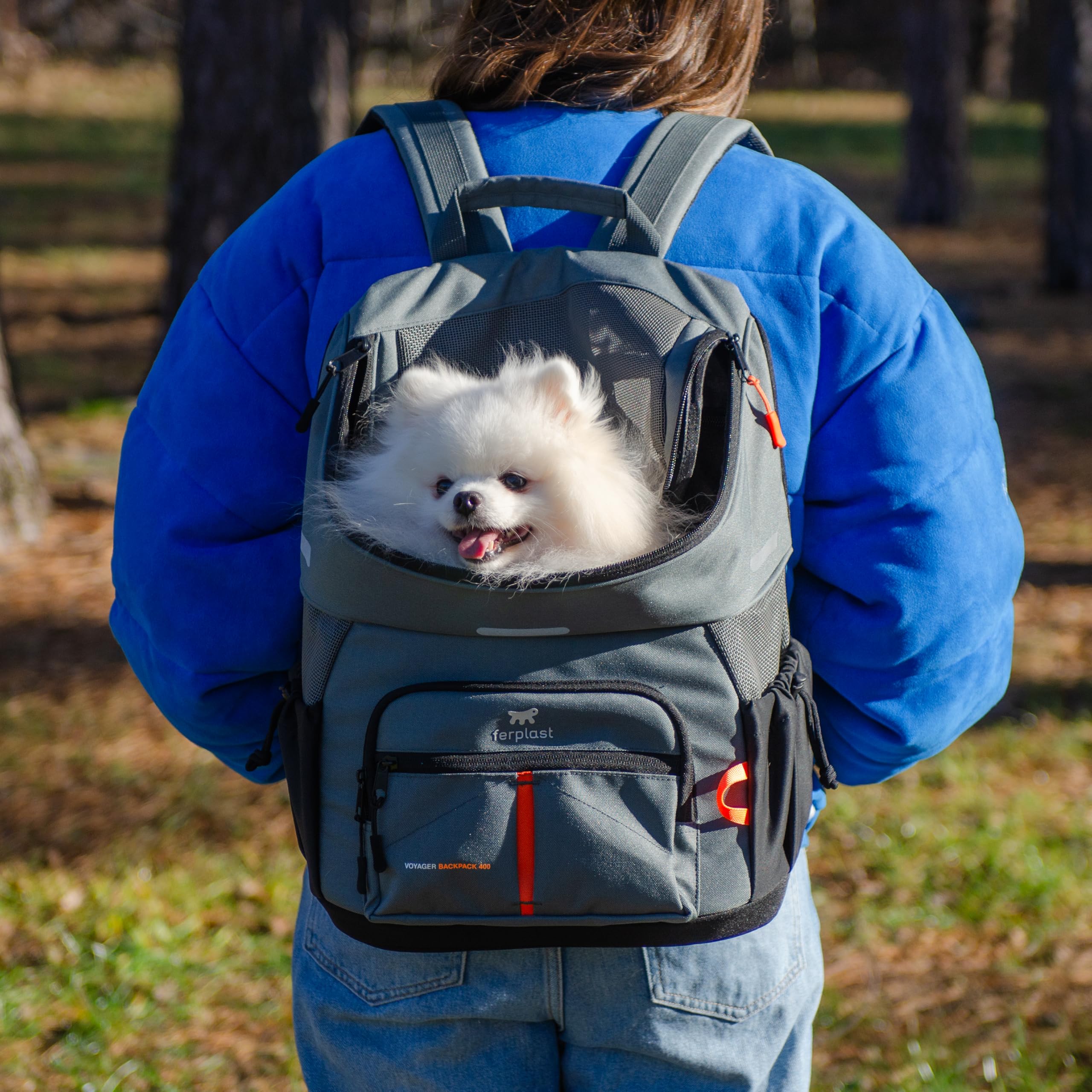 Ferplast Zaino per Cani VOYAGER BACKPACK, Trasportino Gatto, Trasportino Cani, Ampia Apertura, Cinghie Regolabili, Cinghia di Sicurezza, con Cuscino, Max 10 kg, 33x23x41H, Grigio